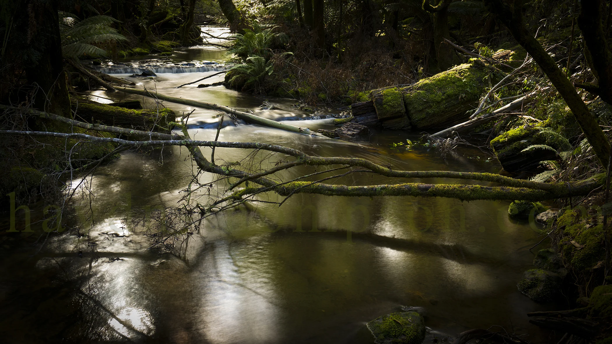 The Quiet Stream (Small Size - Watermark).jpg