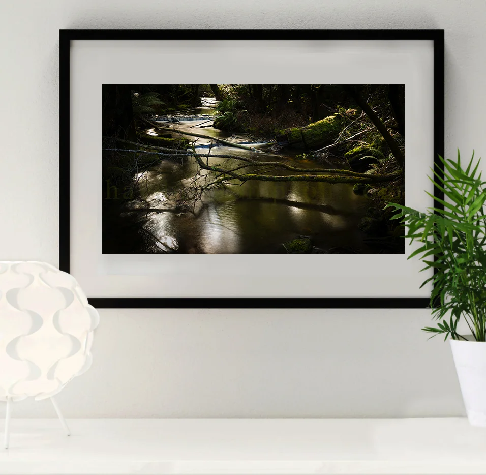 Photo Frame (The Quiet Stream - BLACK).jpg