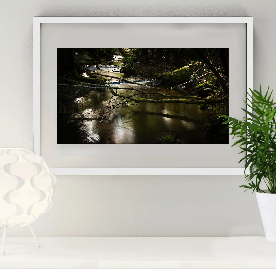 Photo Frame (The Quiet Stream - WHITE).jpg