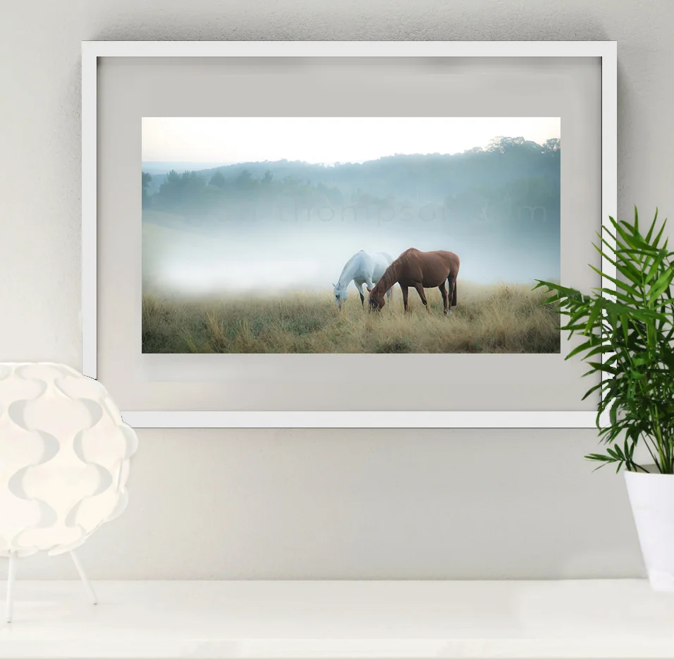 Photo Frame (Horses In The Warrandyte Valley - WHITE).jpg