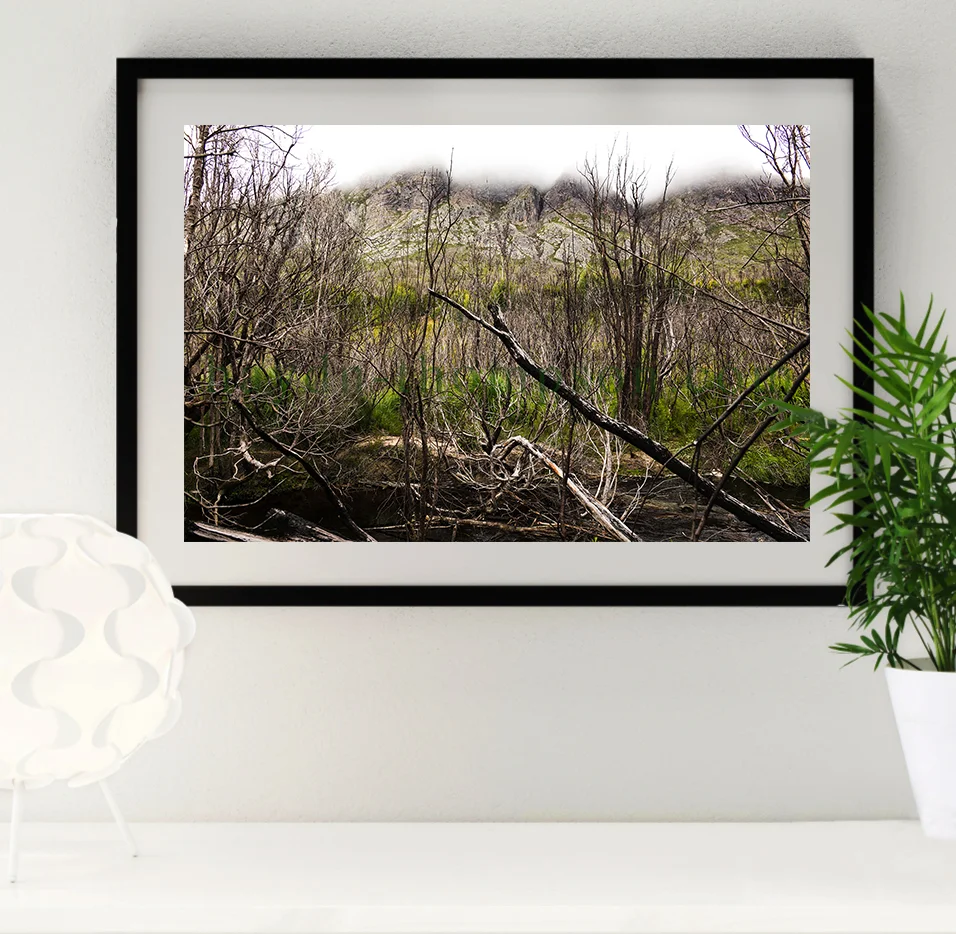 Photo Frame (Woods Mountain - BLACK).jpg