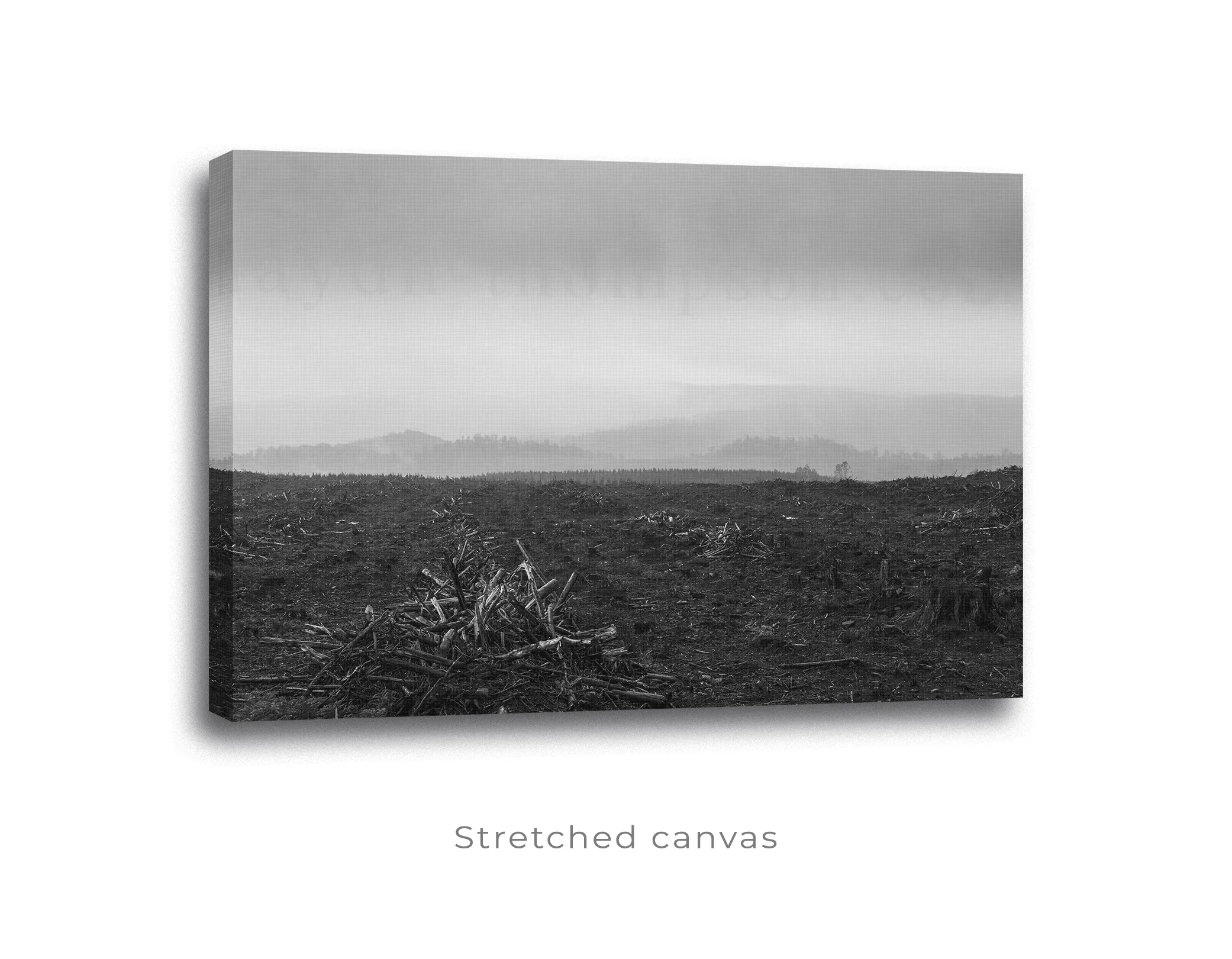 Fallen Styx - Perspective canvas & shadow.jpg
