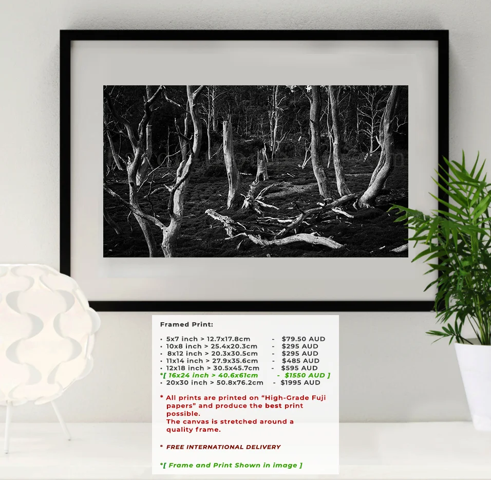Photo Frame (Dead Forest - BLACK - (Frame Prices Text)).jpg