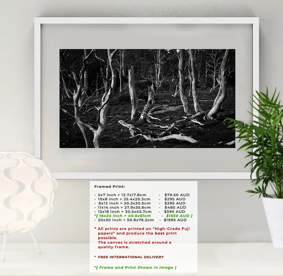 Photo Frame (Dead Forest - WHITE - (Frame Prices Text)).jpg