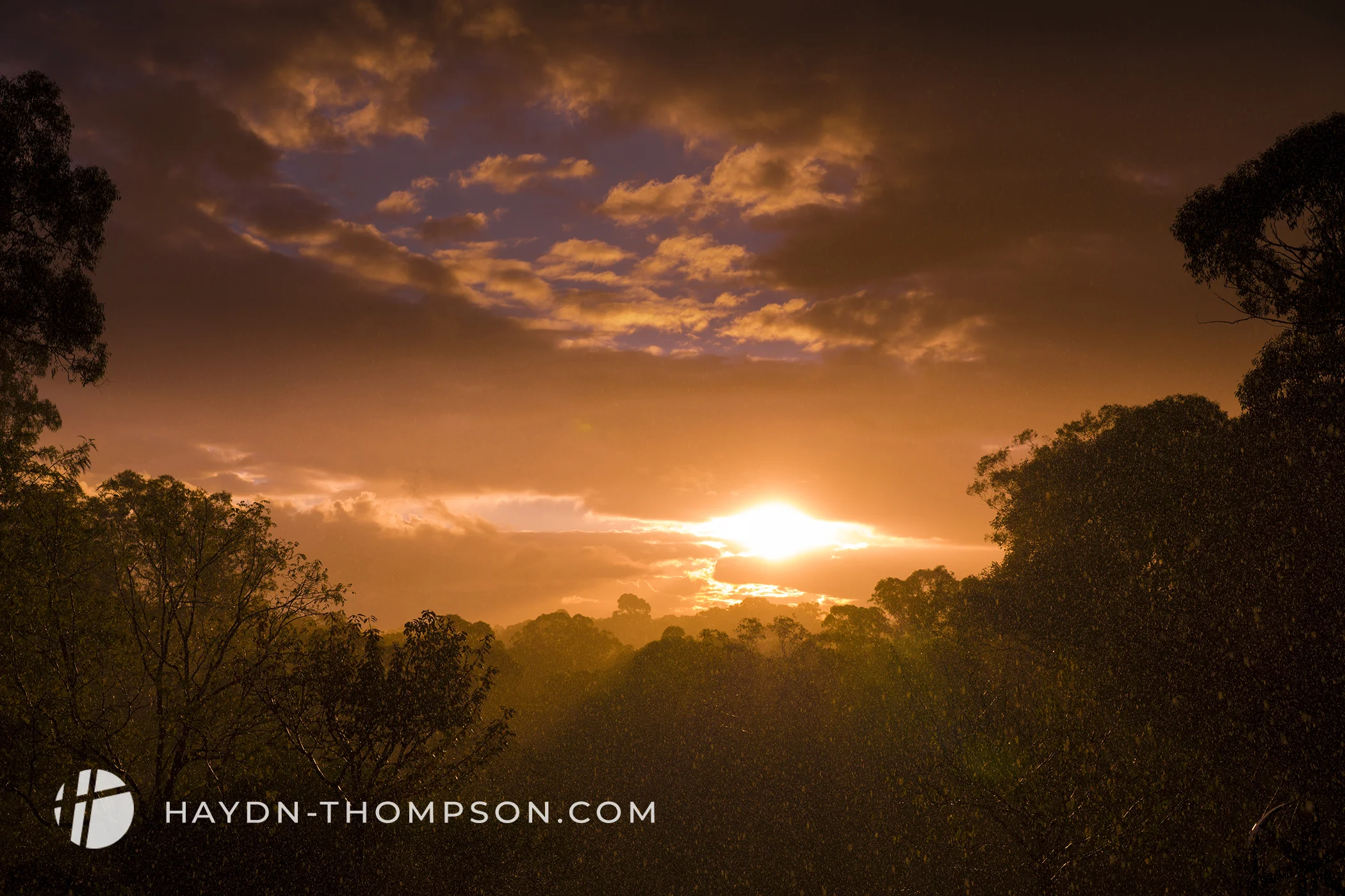 Summer Rain (Small Size - Watermark).jpg