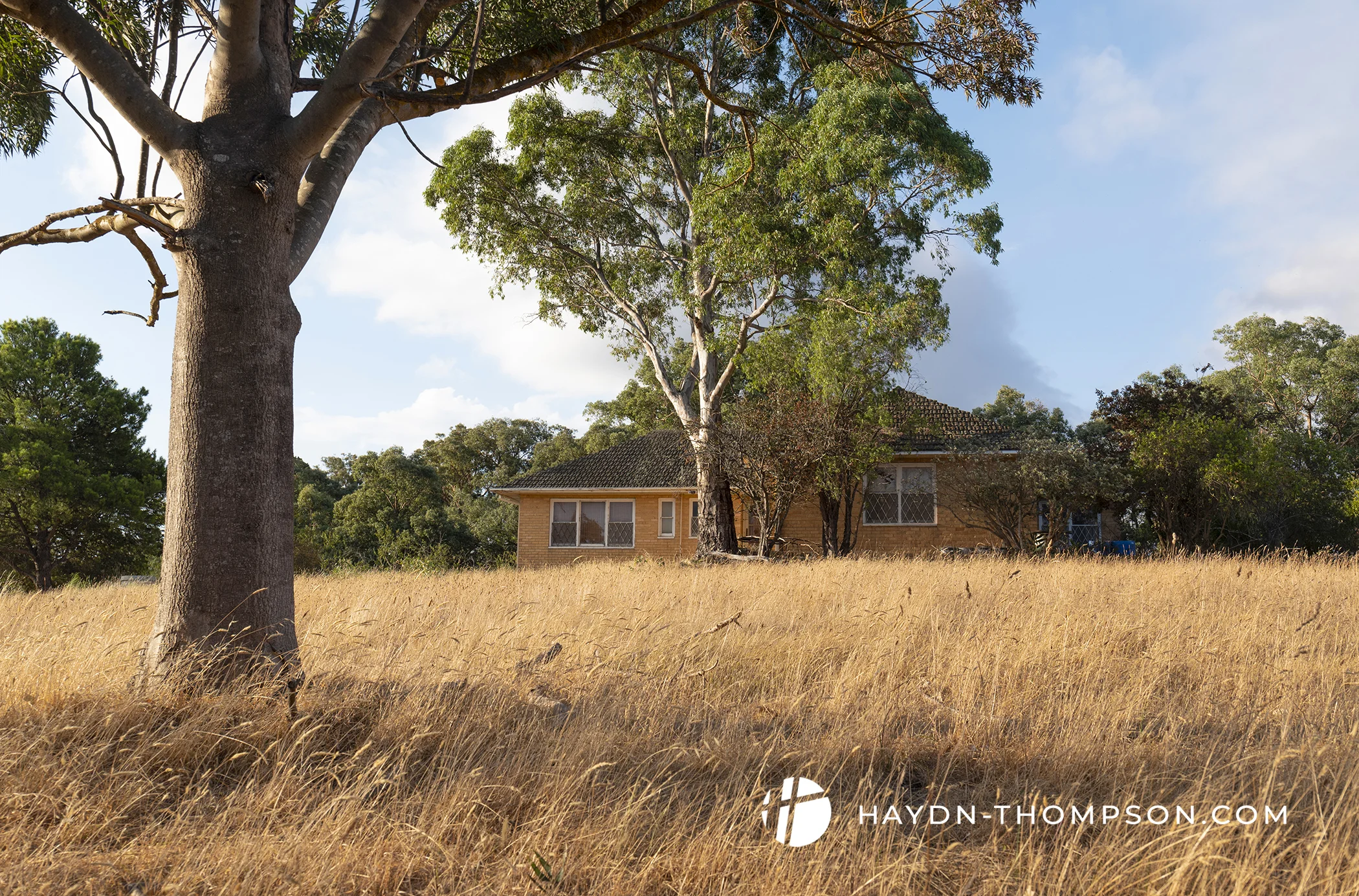 Yarra Brae 1 (Small - Watermark).jpg
