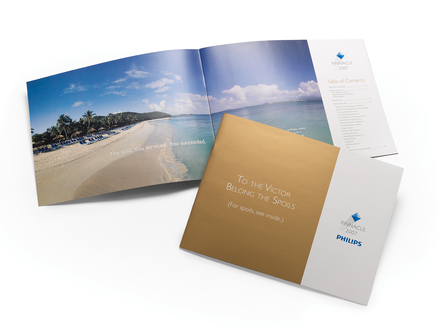 Philips Pinnacle Award Brochure