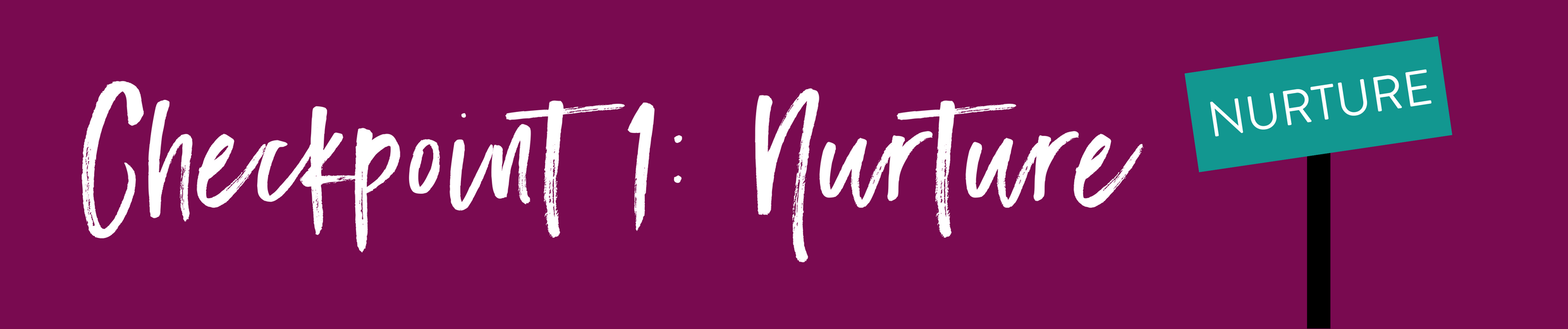 Checkpoint 1- Nurture.png