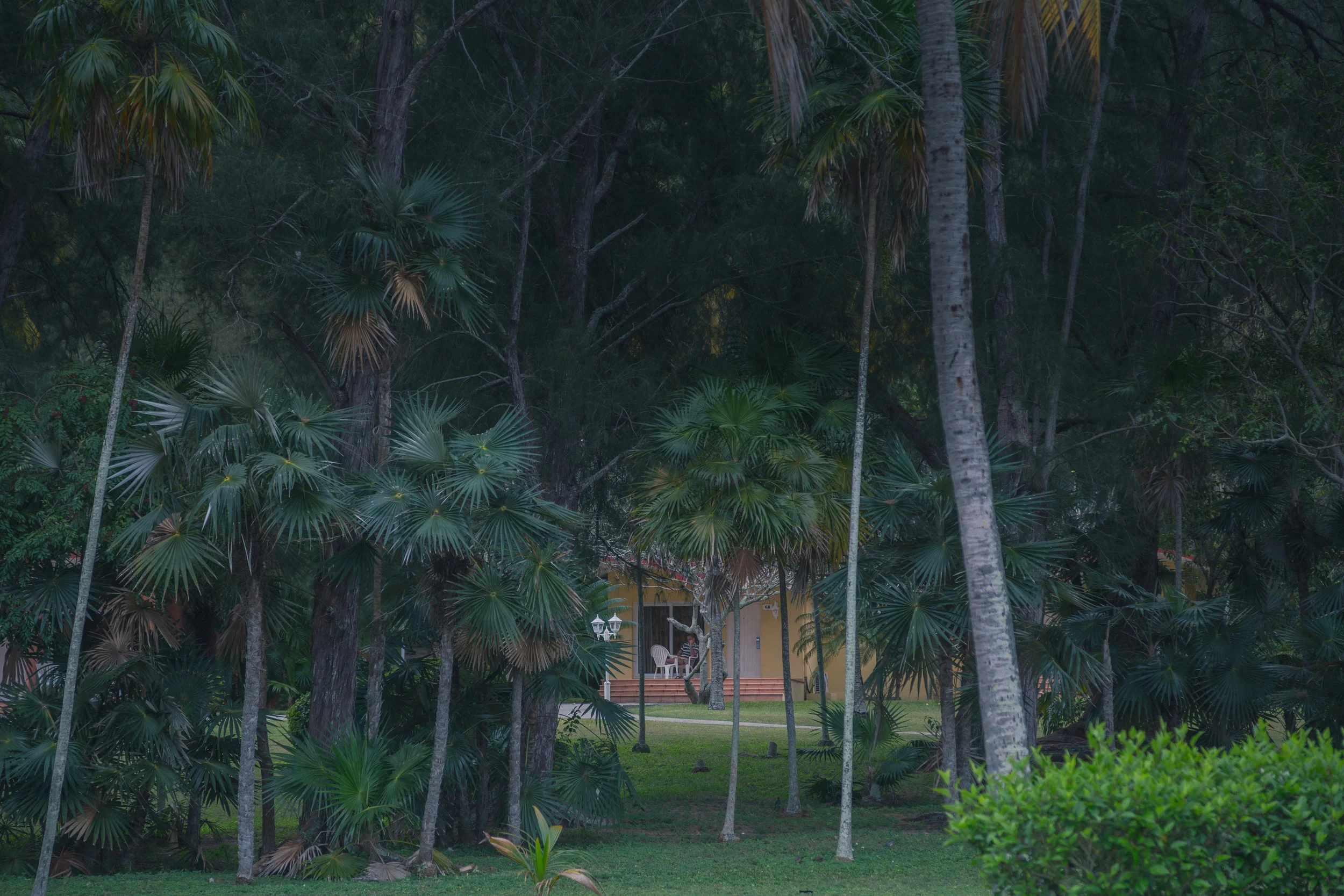 3_CUBA_2015-1-5.jpg