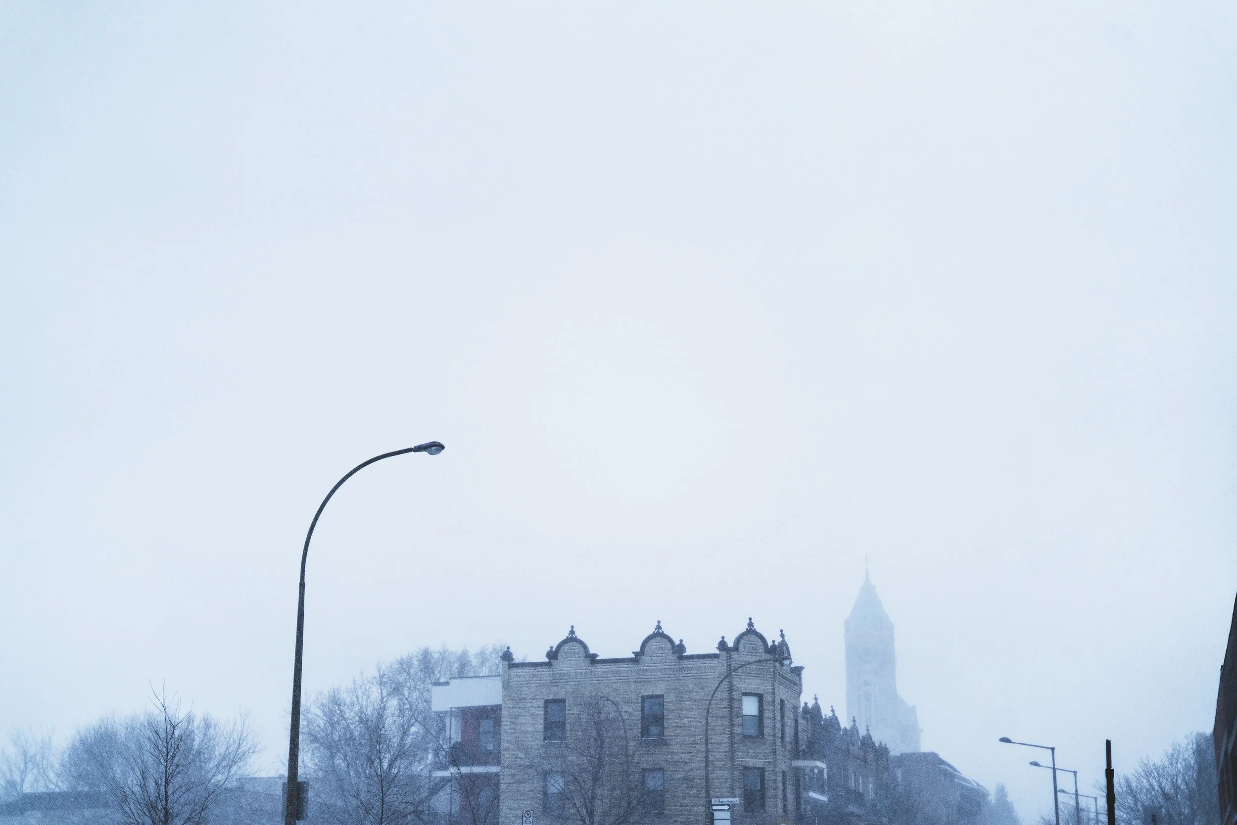 Neige_Laurier_small.jpg