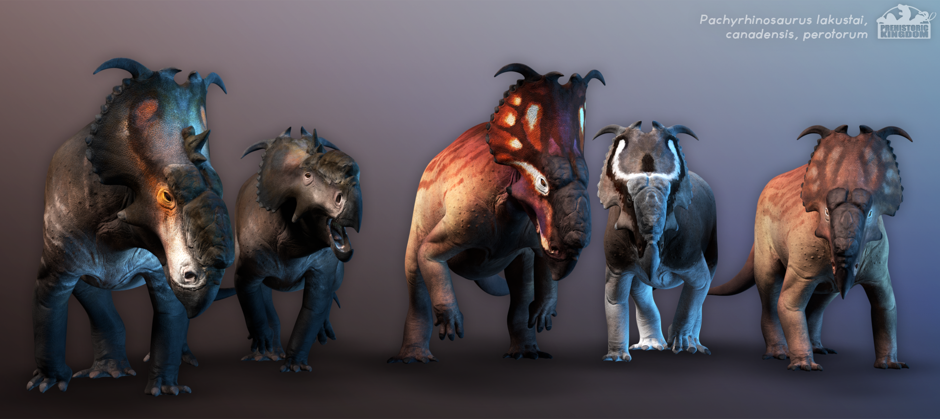 Pachyrhinosaurus sp. for Prehistoric Kingdom