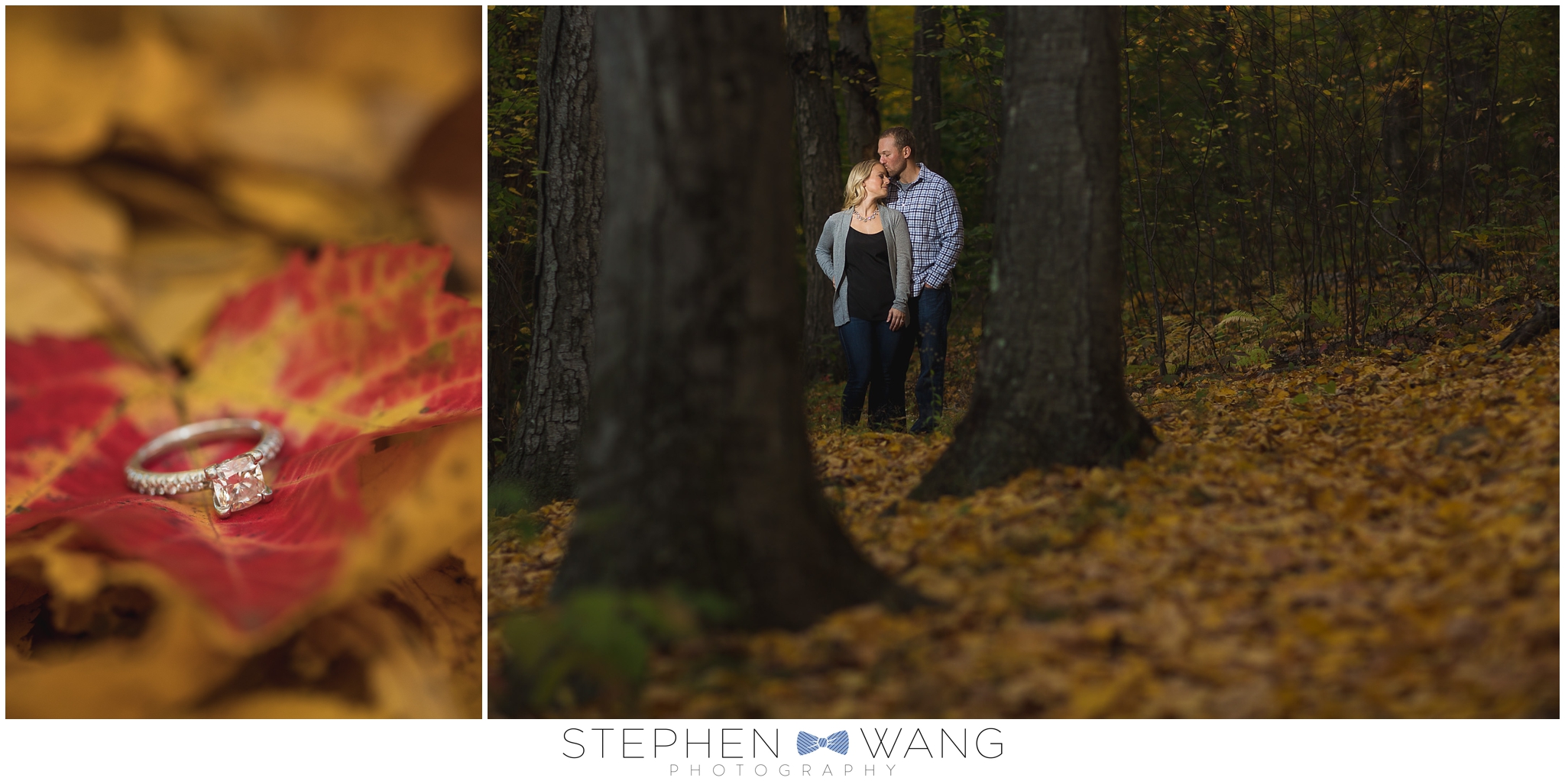 Stephen Wang Photography Connecticut Engagement Session photographer Wadsworth Mansion Park Middletown Autum Fall Foliage CT New Haven-10-23_0002.jpg