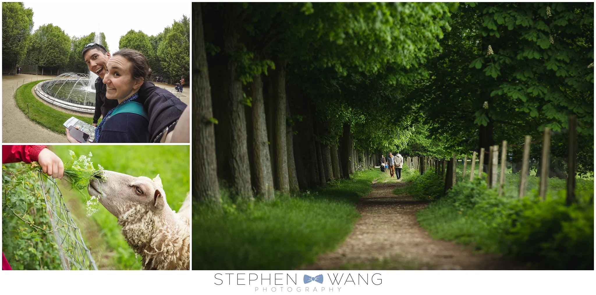 In the gardens of Versailles. A cute walking path with sheep right next to us, and a perfect tree canopy made wandering around a joy.