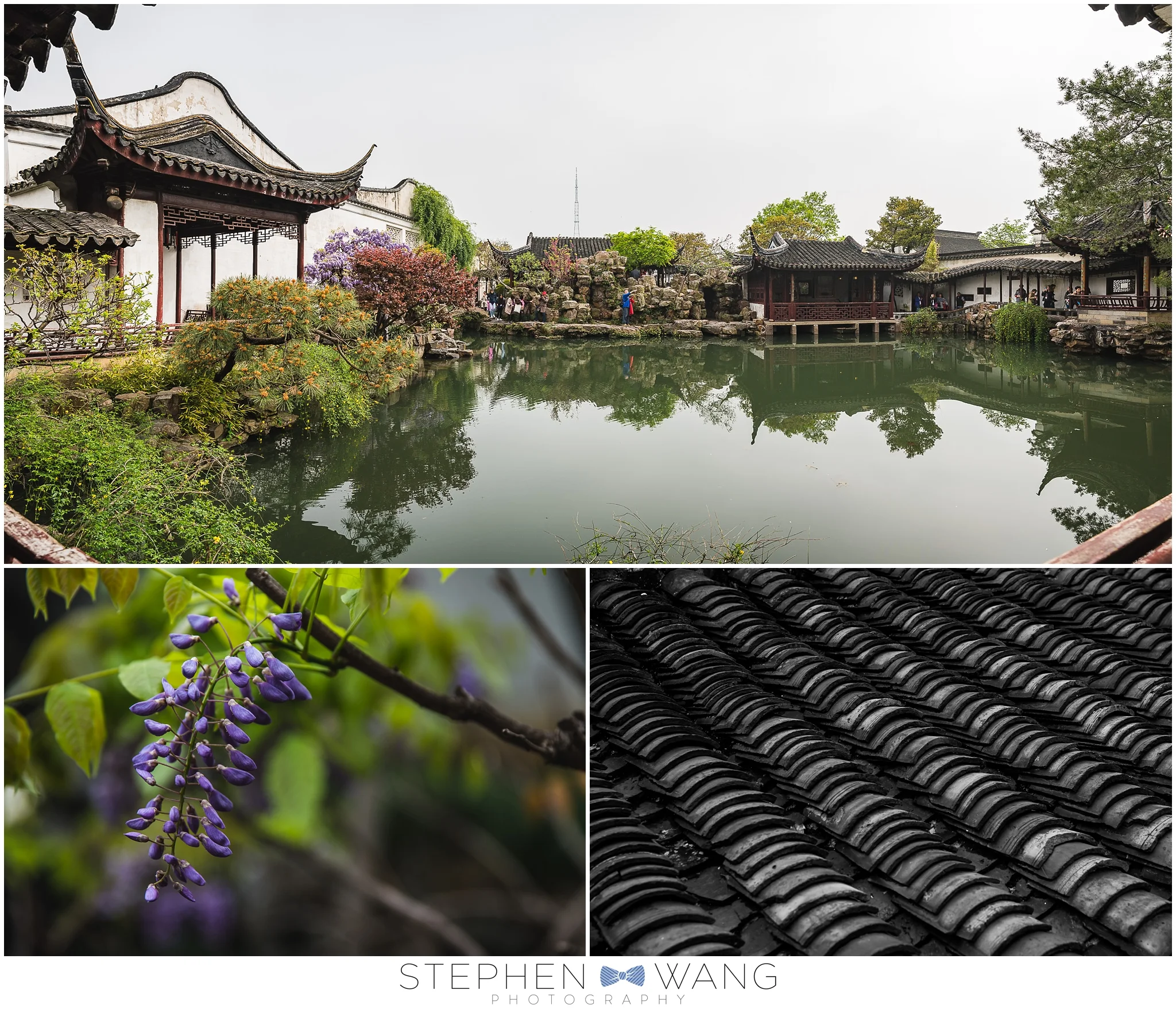 The Garden of the Master of the Nets