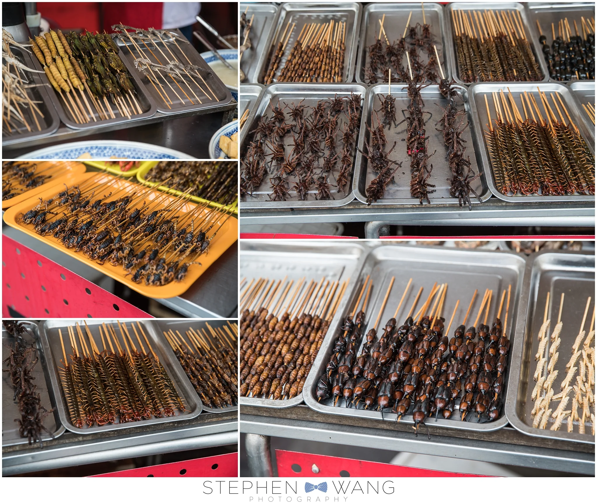 Let's see, we have some caterpillars, grasshoppers, seahorses, spiders, centipedes, silk worms, beetles, and scorpions. My dad and I ate the scorpion. Tasted like chicken.