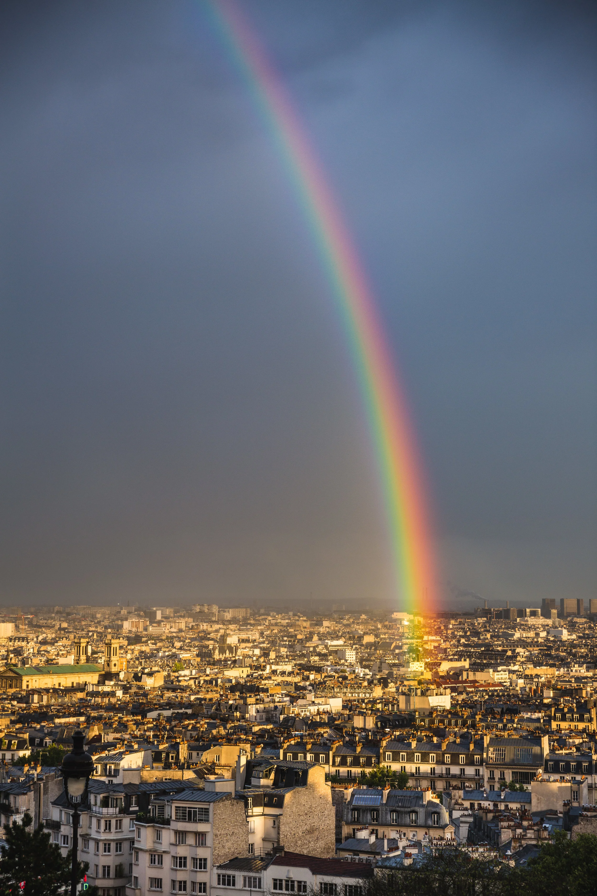 SW1_3180.jpg