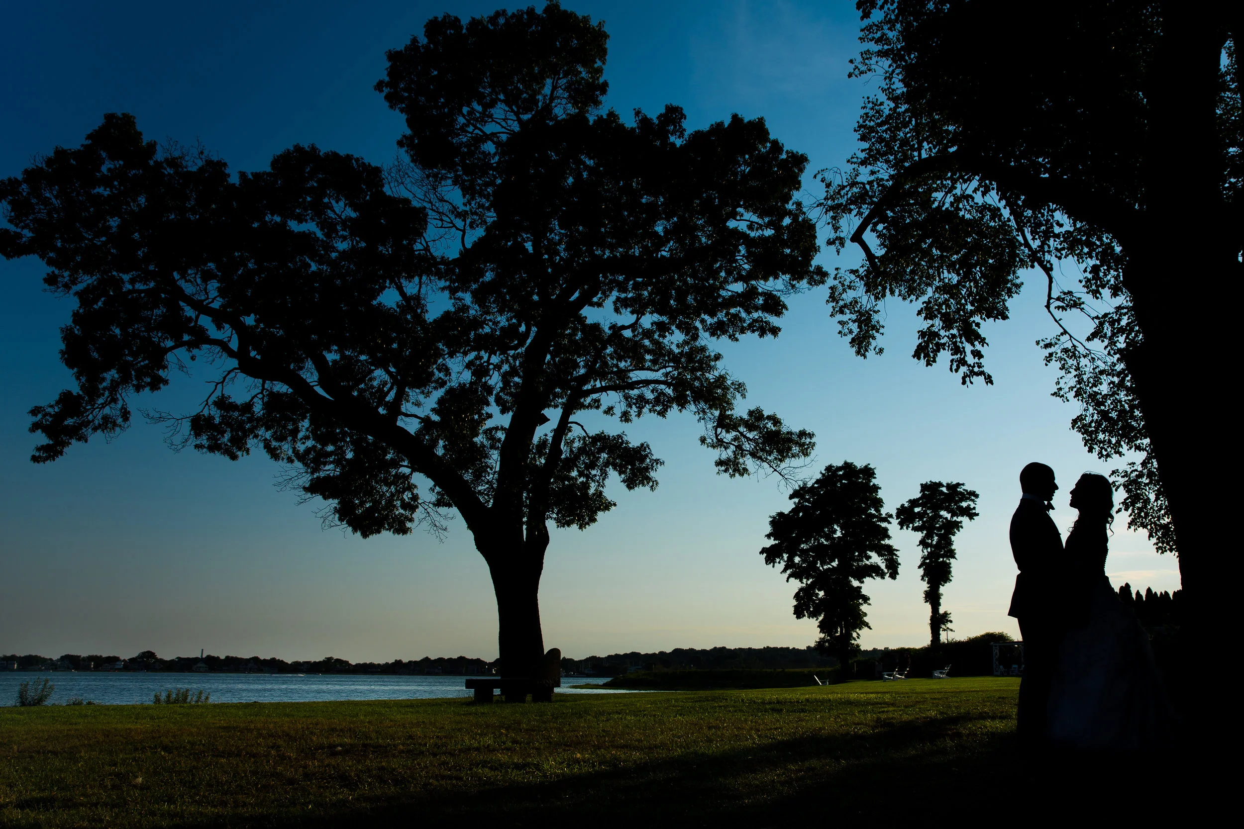 SW1_3313.jpg