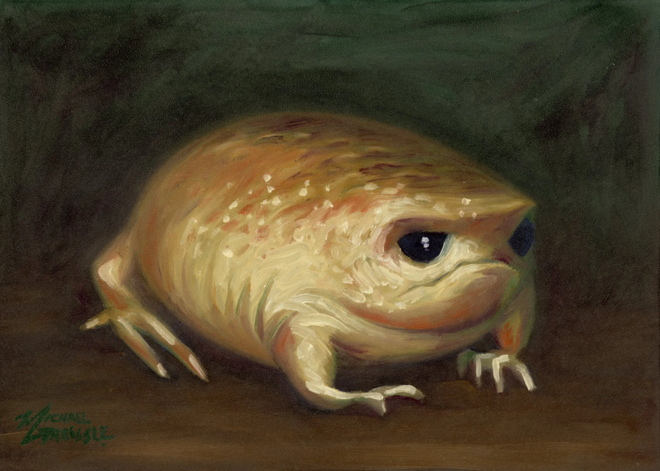 Yellow Rain Frog