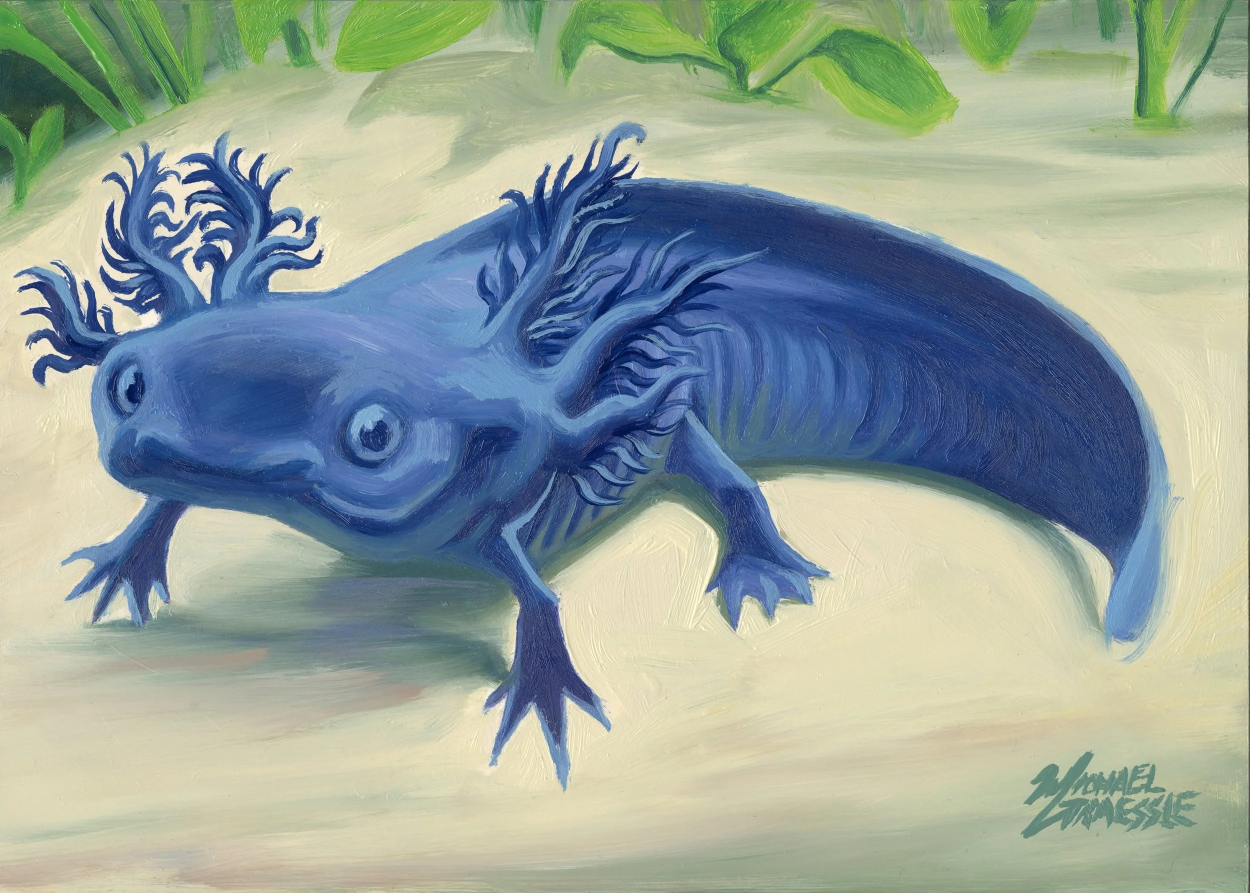 Blue Axolotl