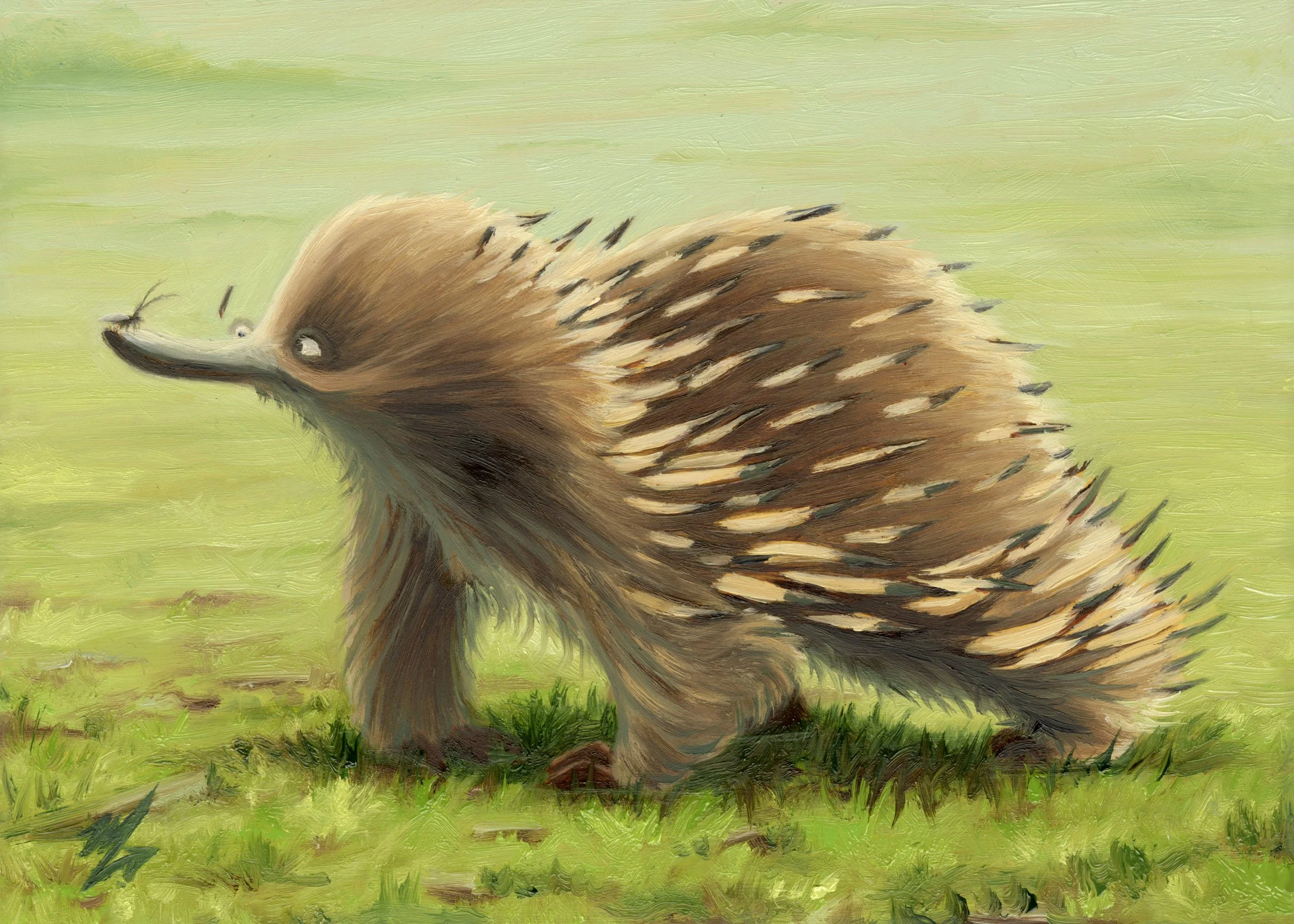 Echidna Buggie