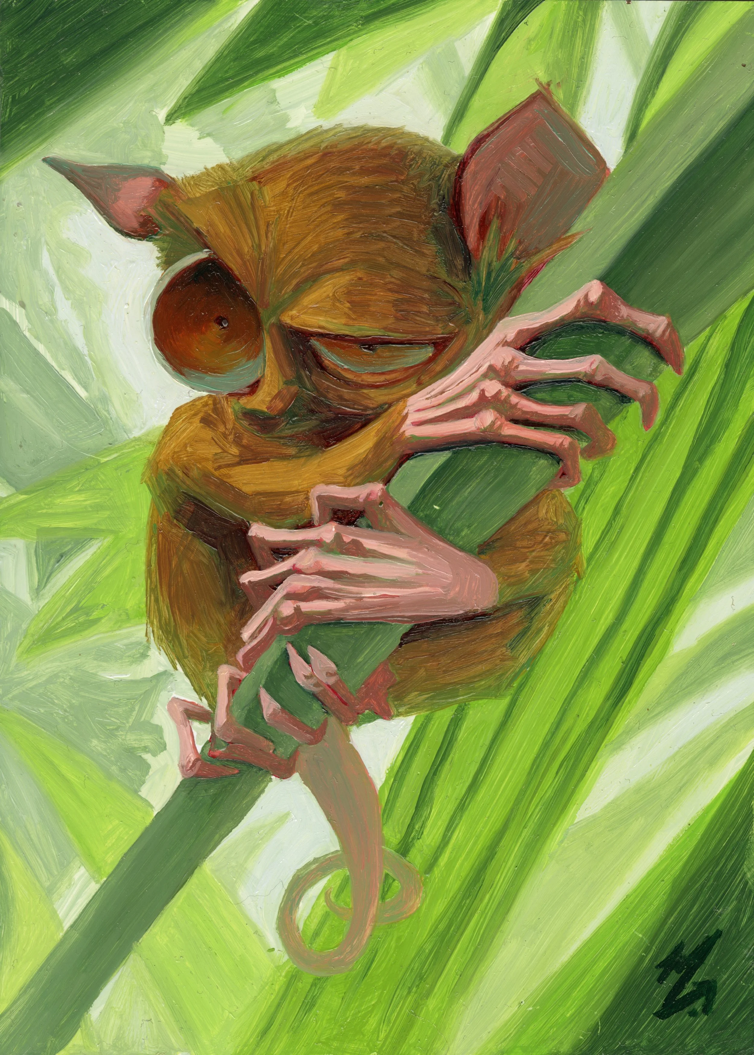 Tarsier