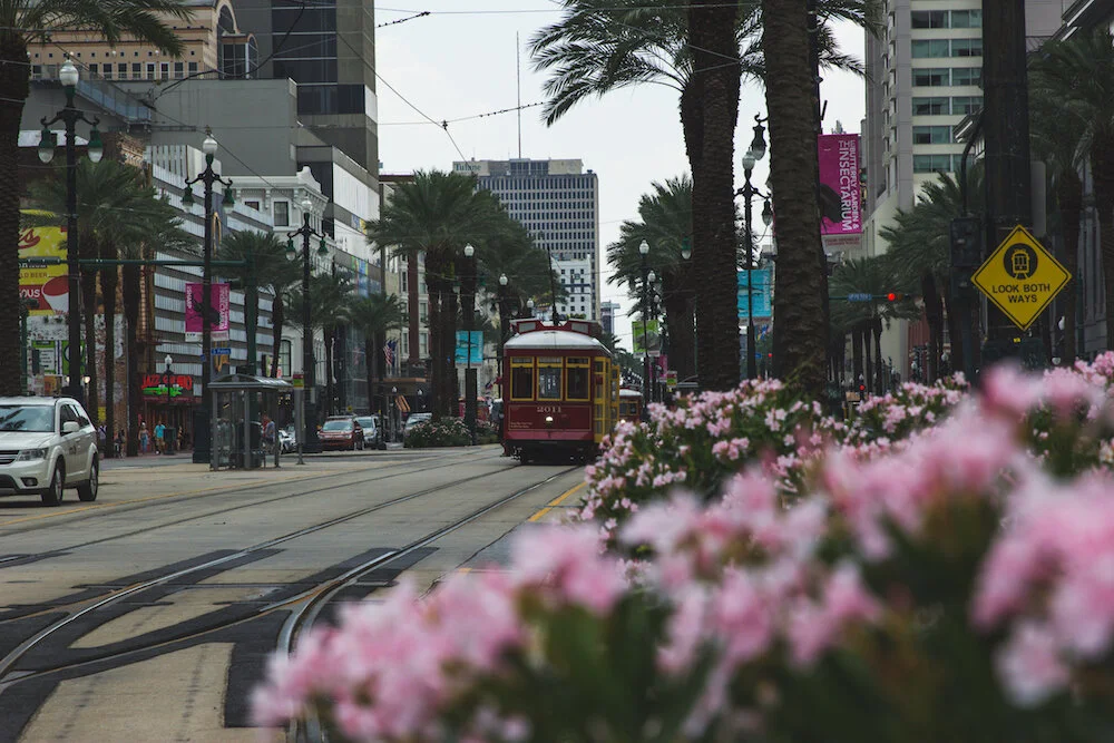 nola-68.jpg