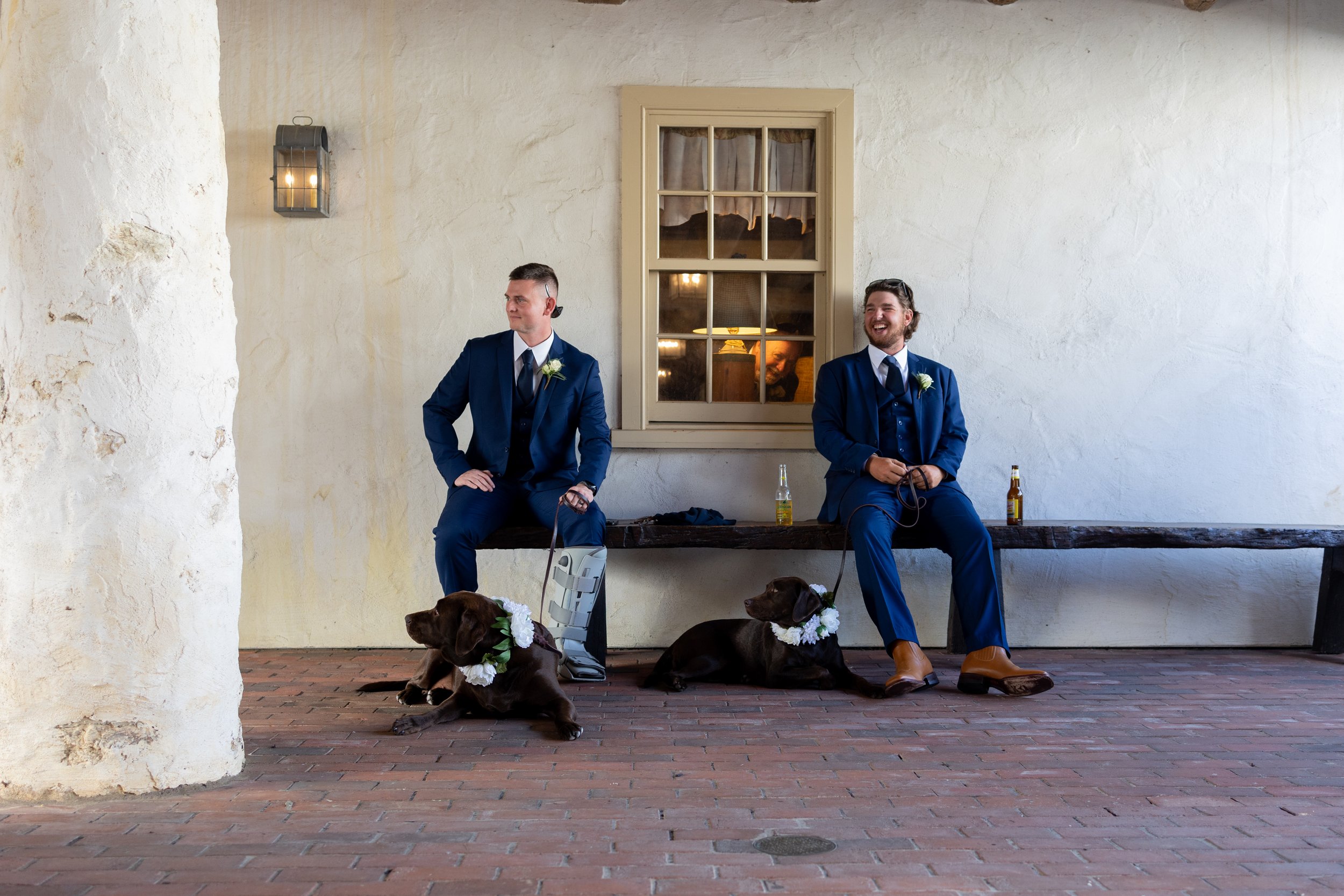 Two dogs and two groomsmen.