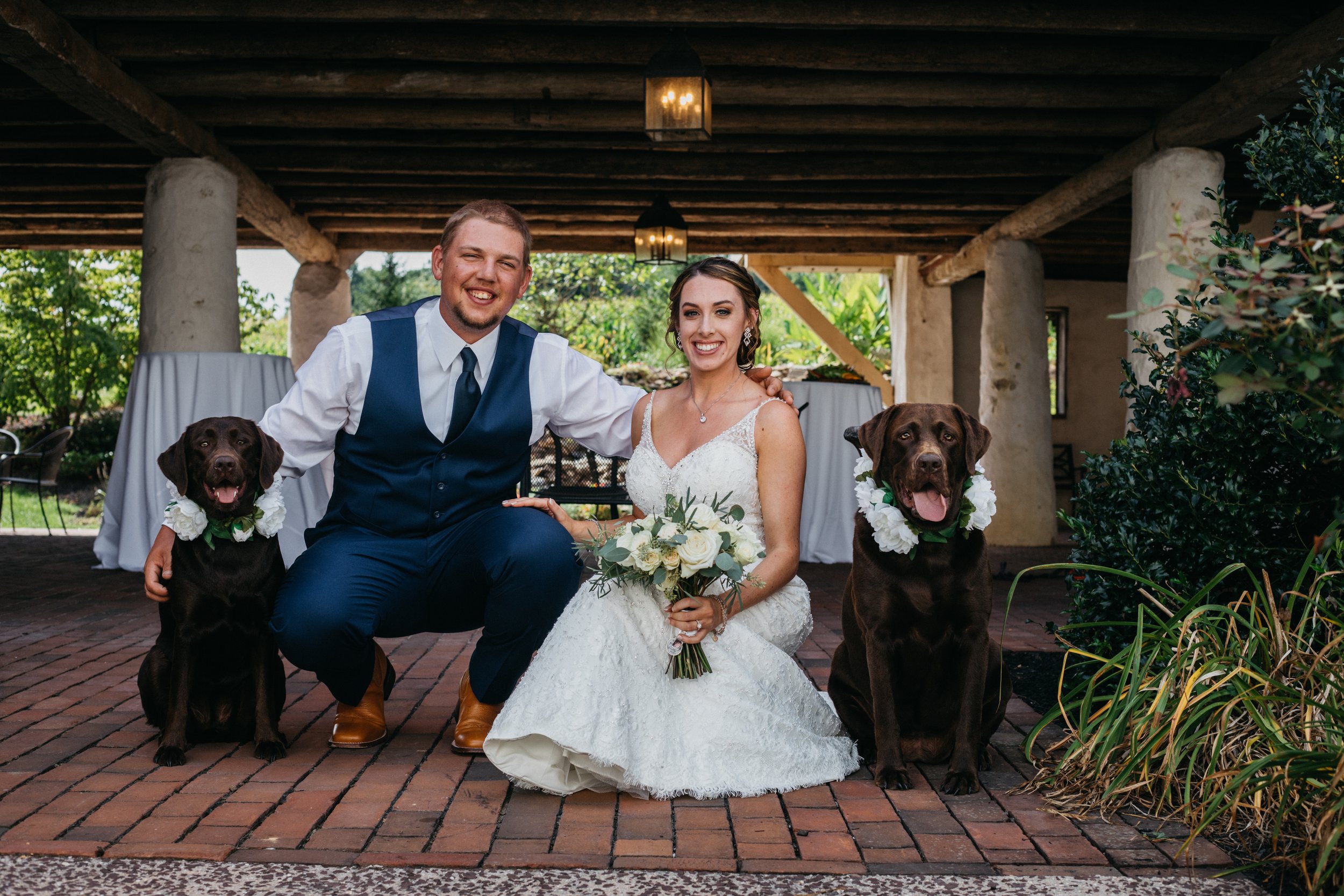 A bride and groom with her two dogs.