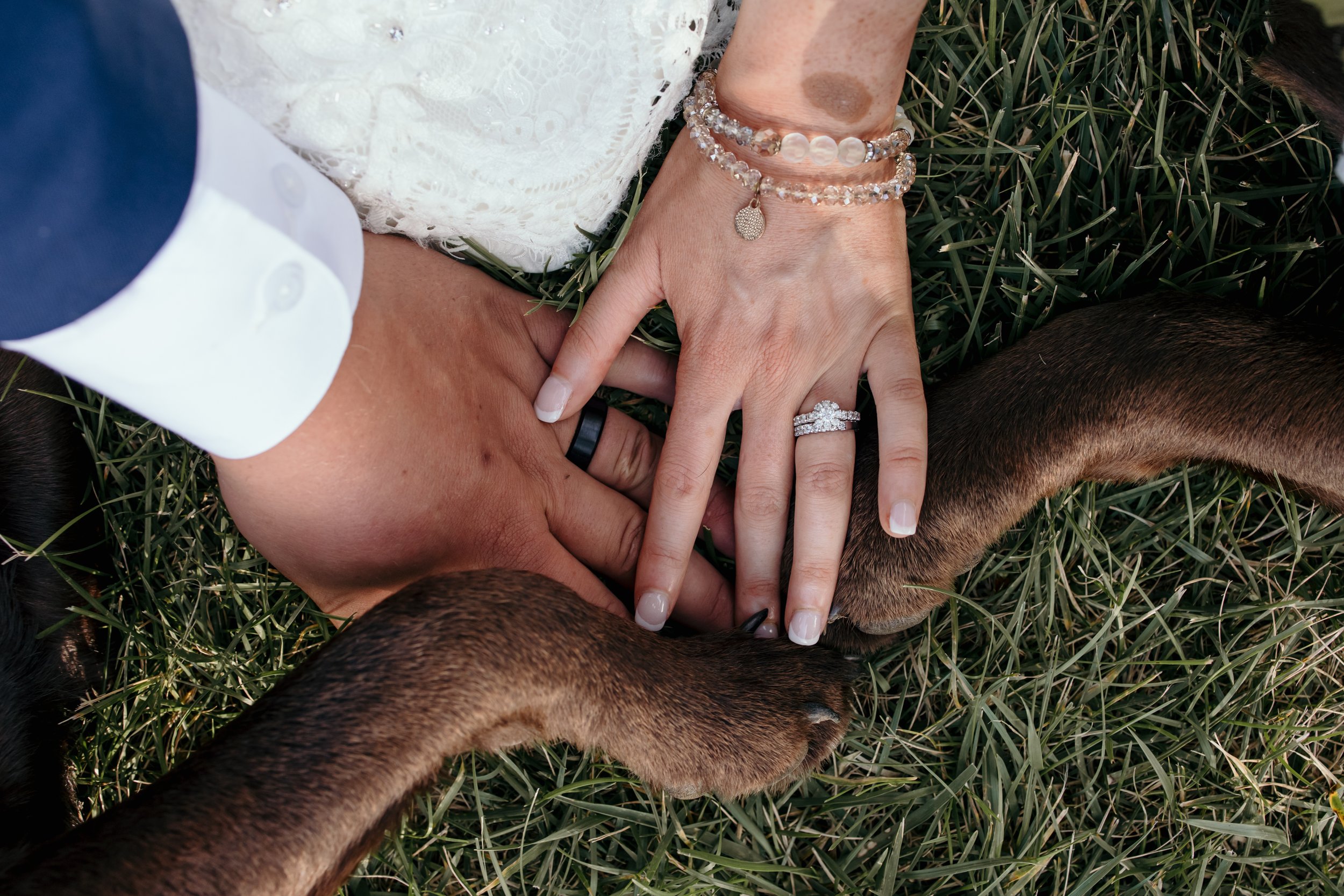 a bride, groom, and two dog paws together in a pile.