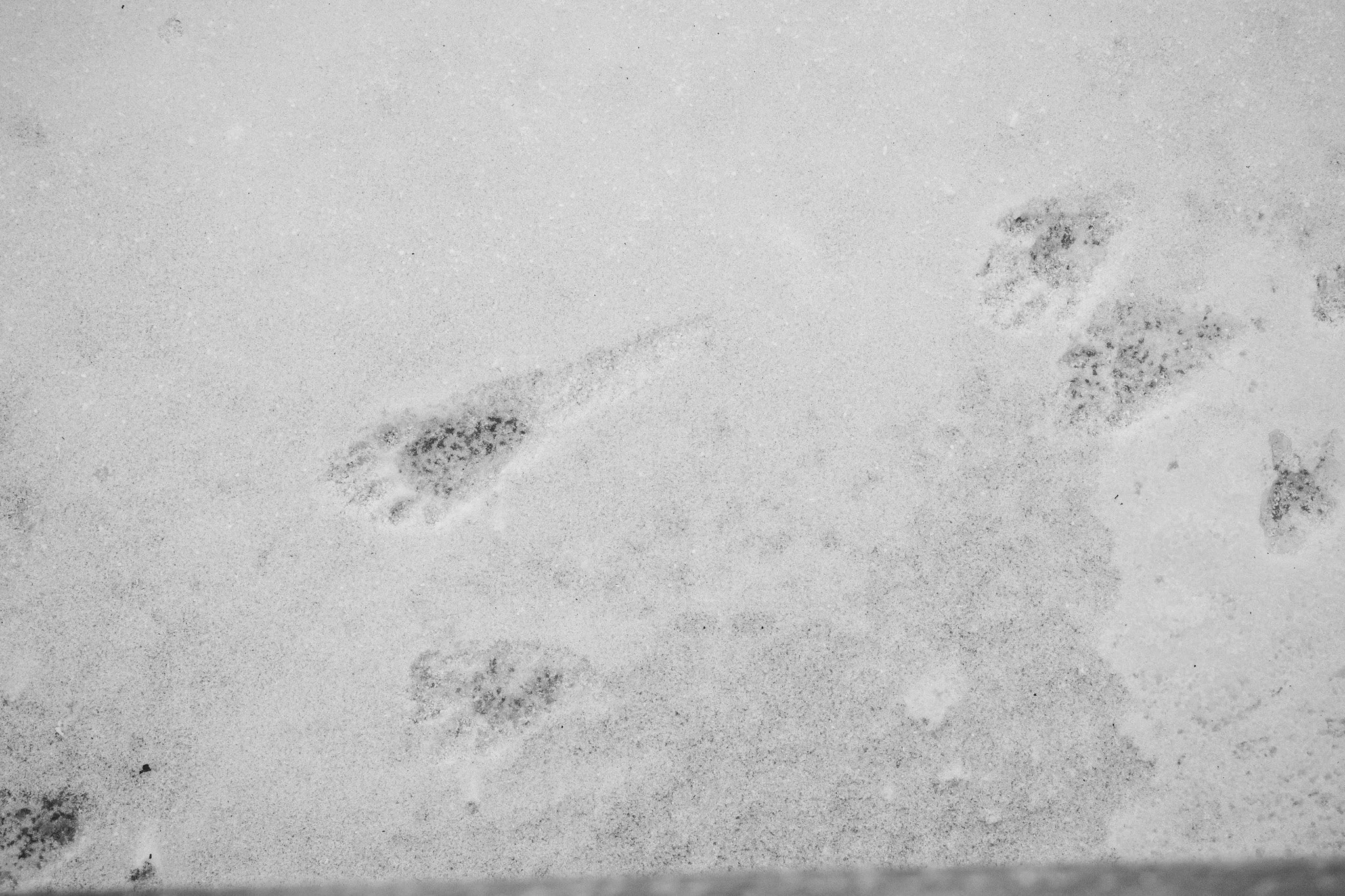 canada-resized (10 of 67).jpg