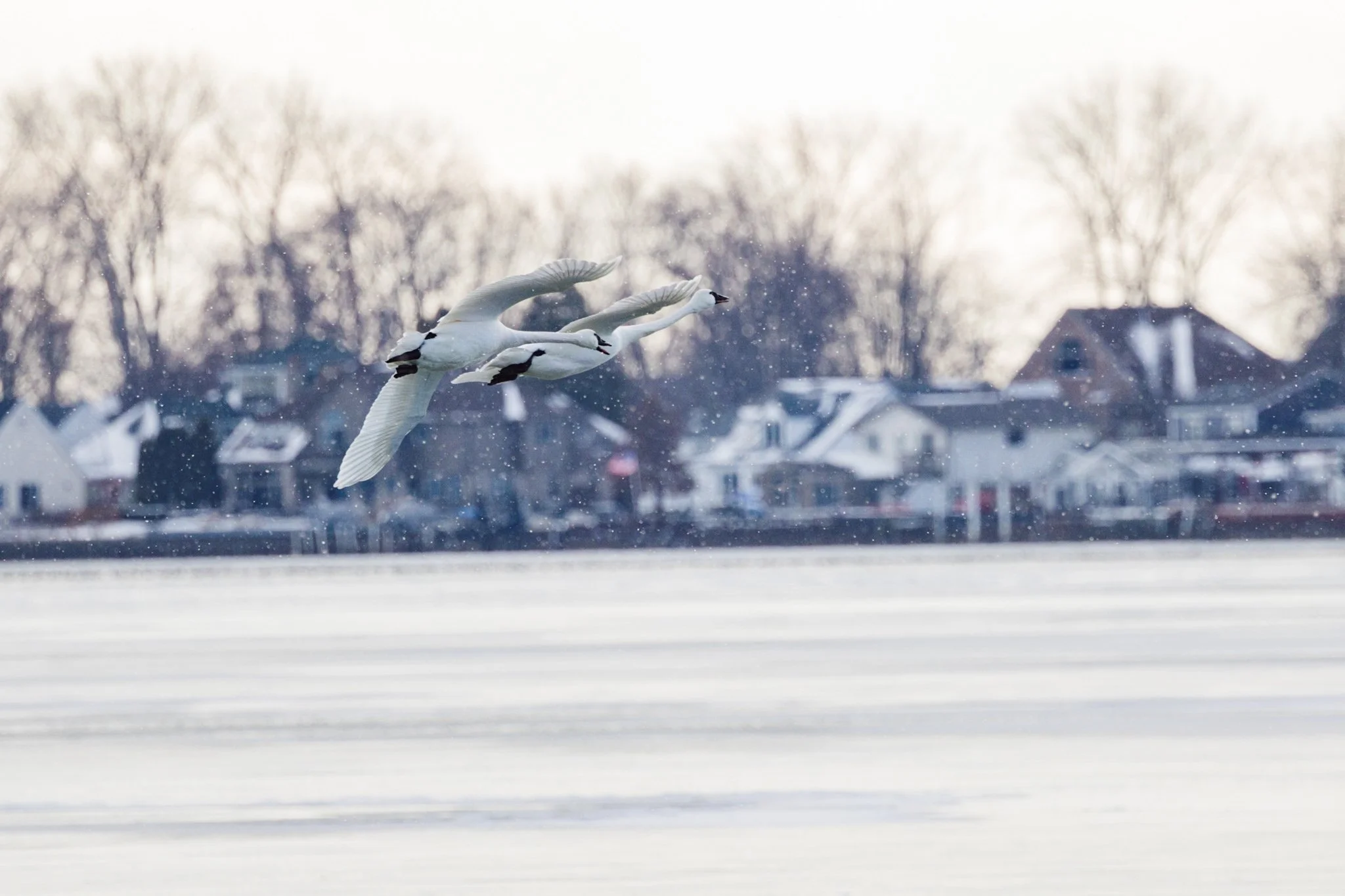 canada-resized (32 of 67).jpg