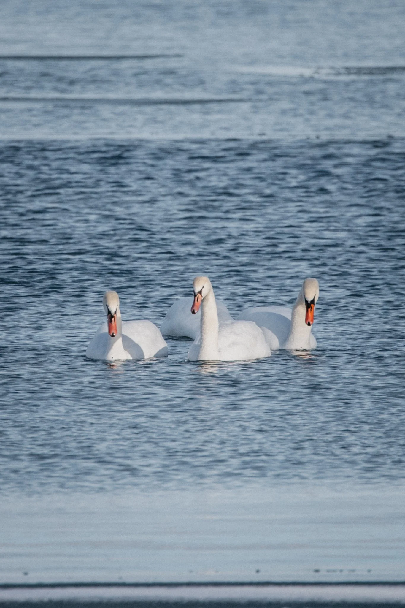 canada-resized (35 of 67).jpg