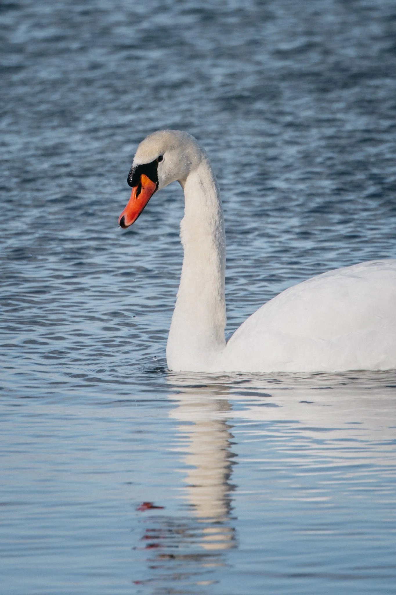 canada-resized (38 of 67).jpg