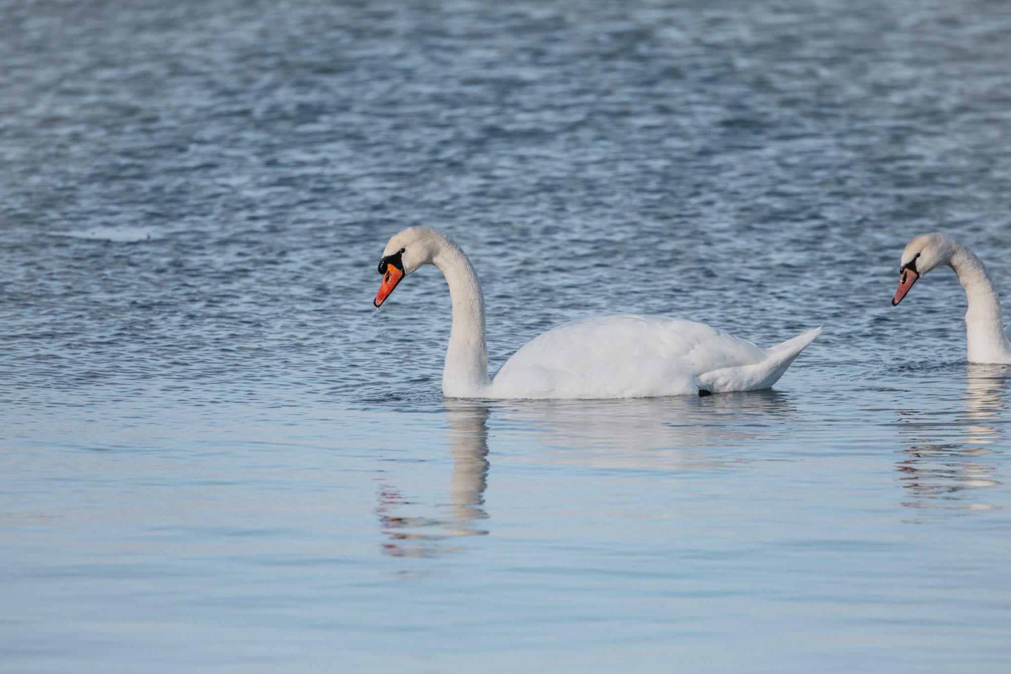 canada-resized (40 of 67).jpg