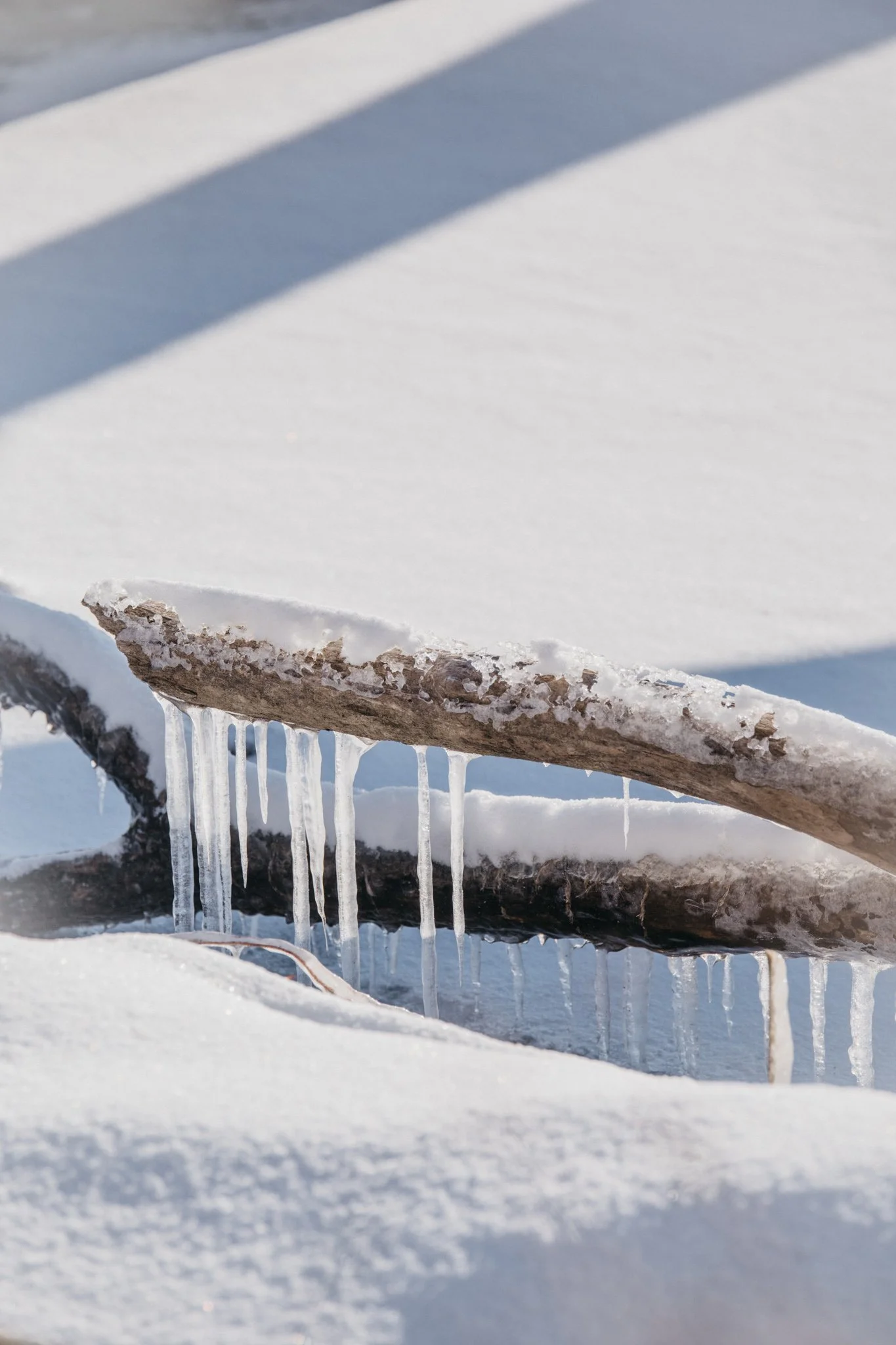 canada-resized (44 of 67).jpg