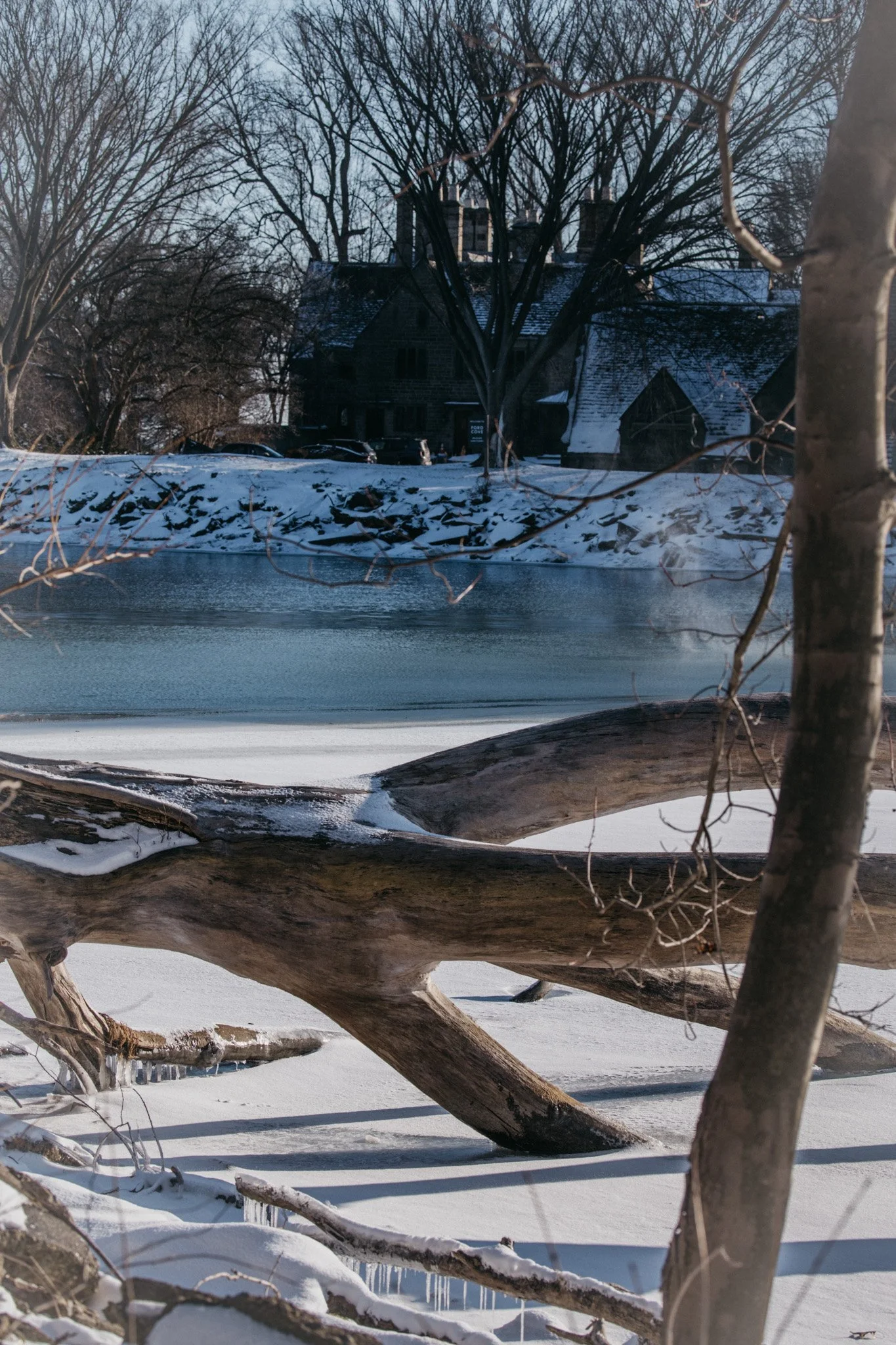 canada-resized (46 of 67).jpg