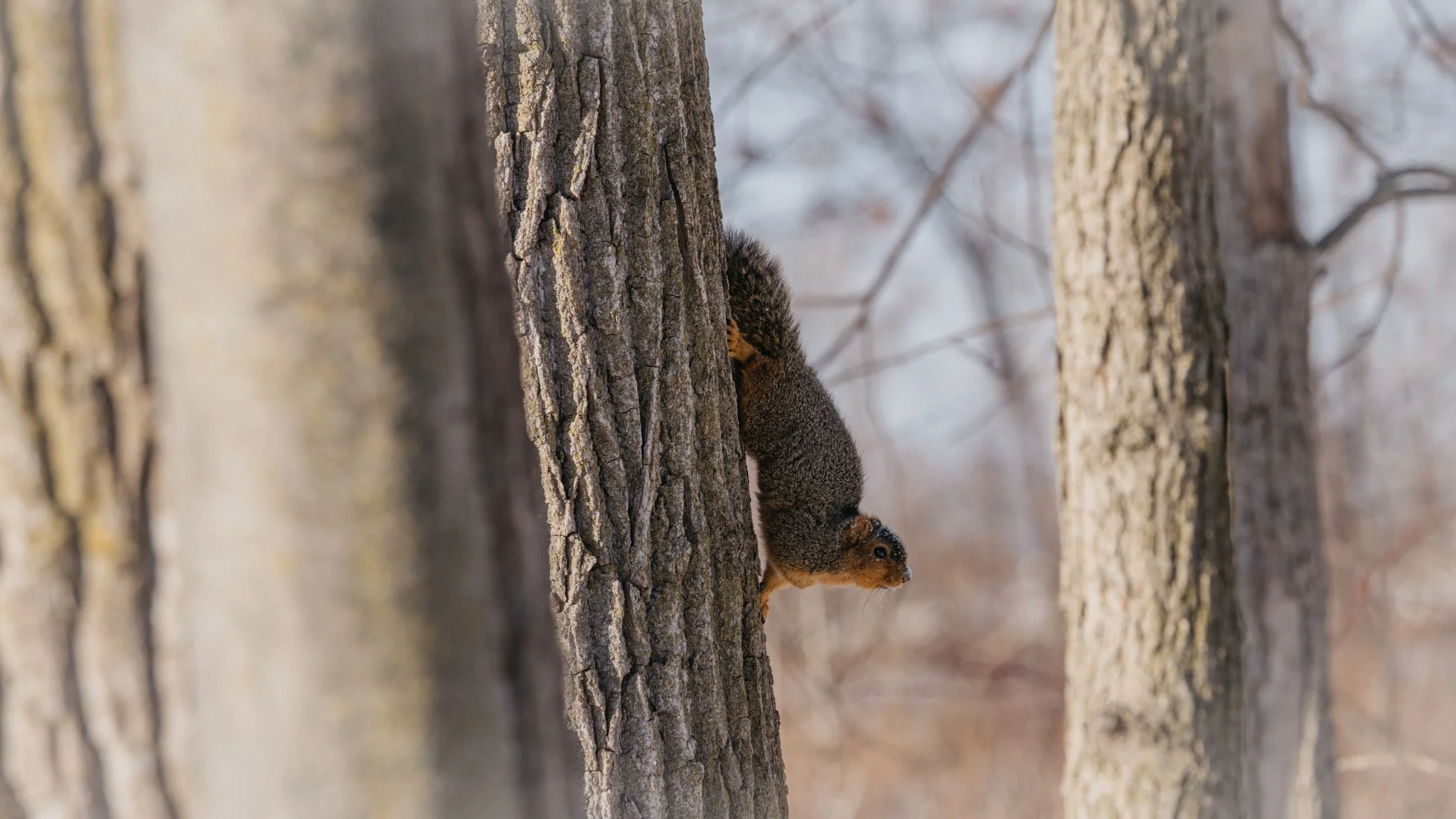 canada-resized (47 of 67).jpg