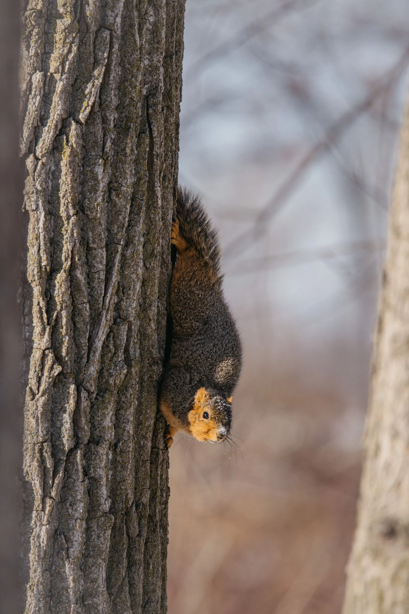 canada-resized (48 of 67).jpg