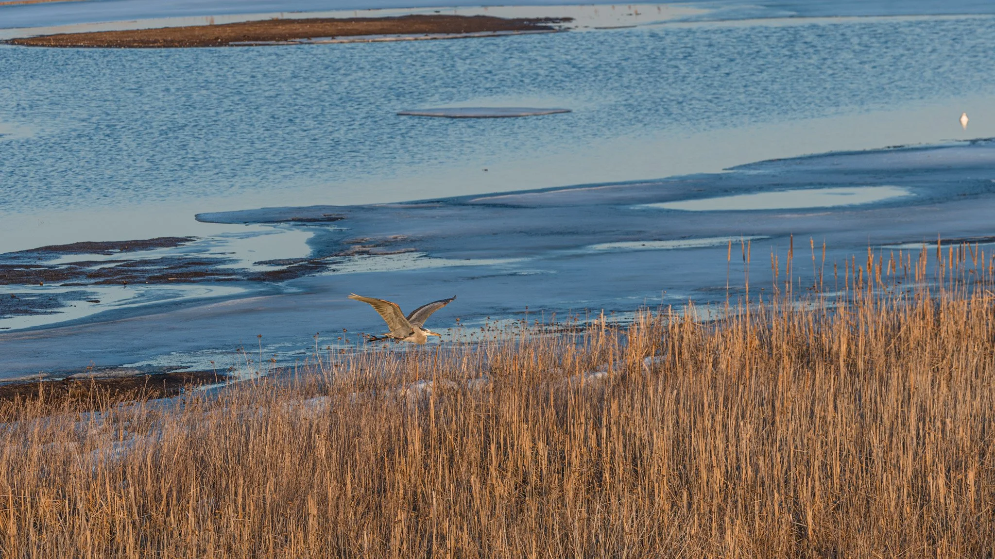 forsythe-winter-resized (73 of 77).jpg