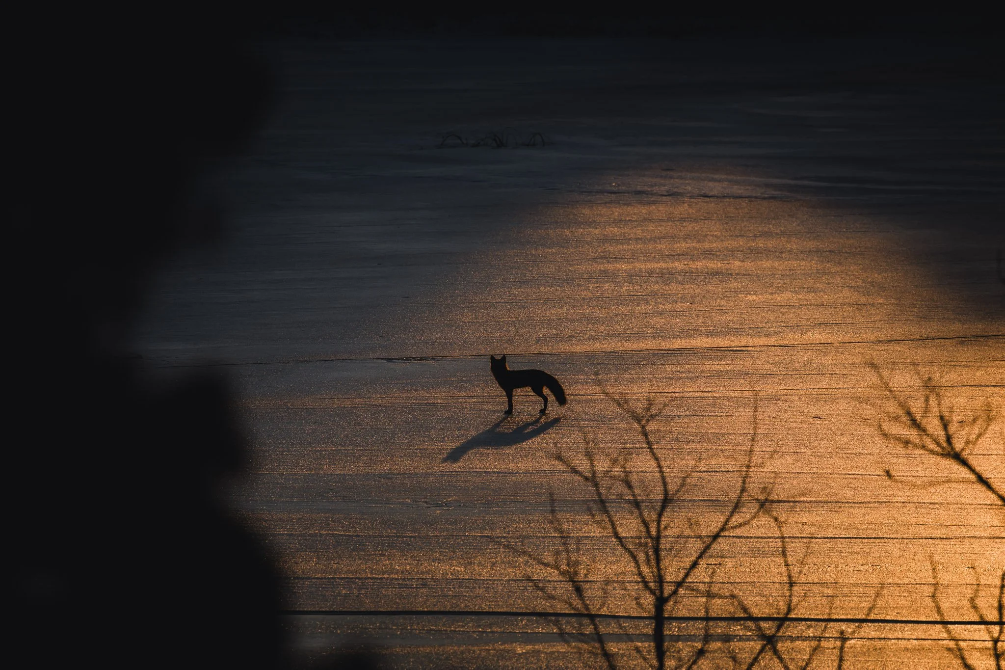 forsythe-winter-resized (75 of 77).jpg