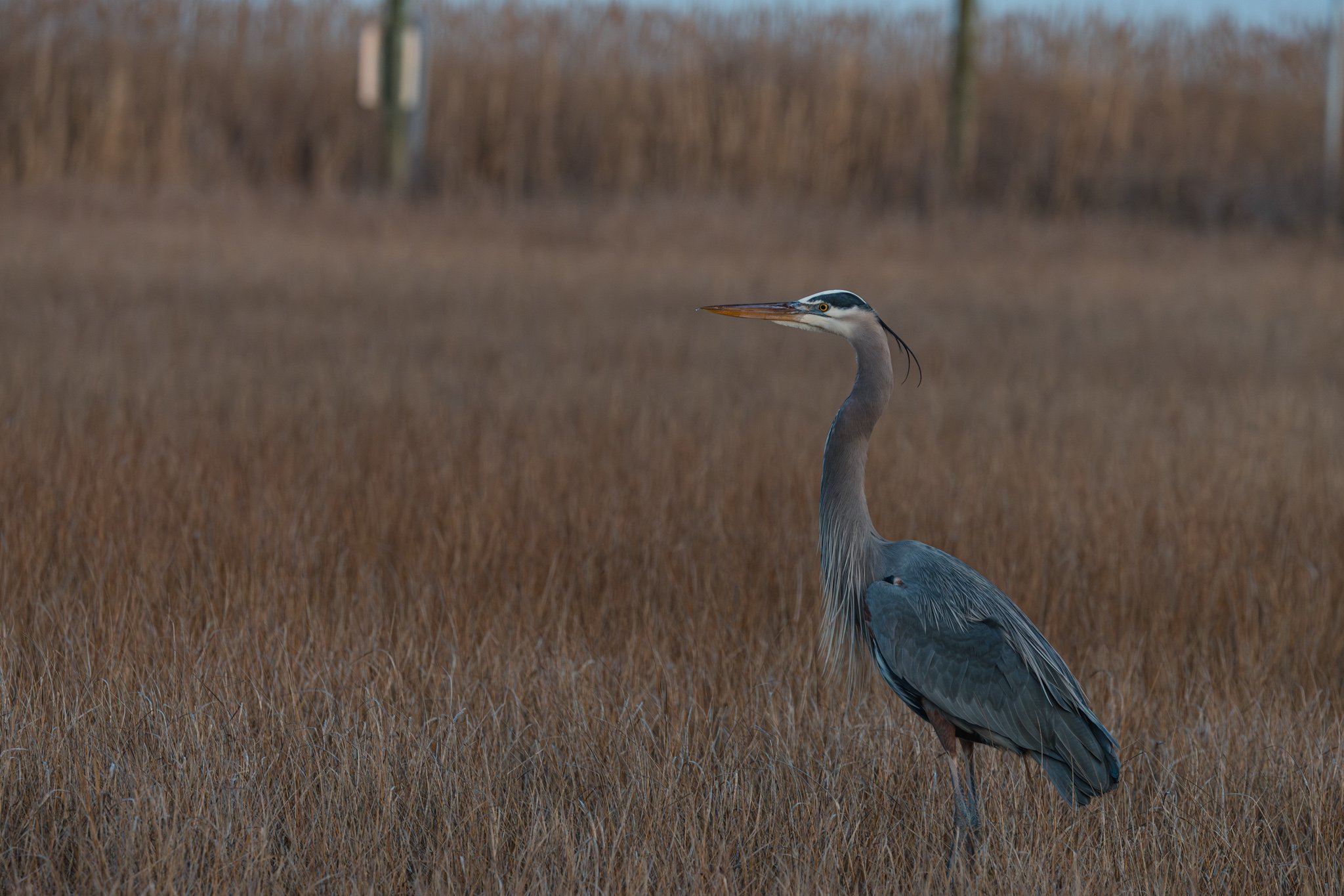 forsythe-winter-resized (77 of 77).jpg