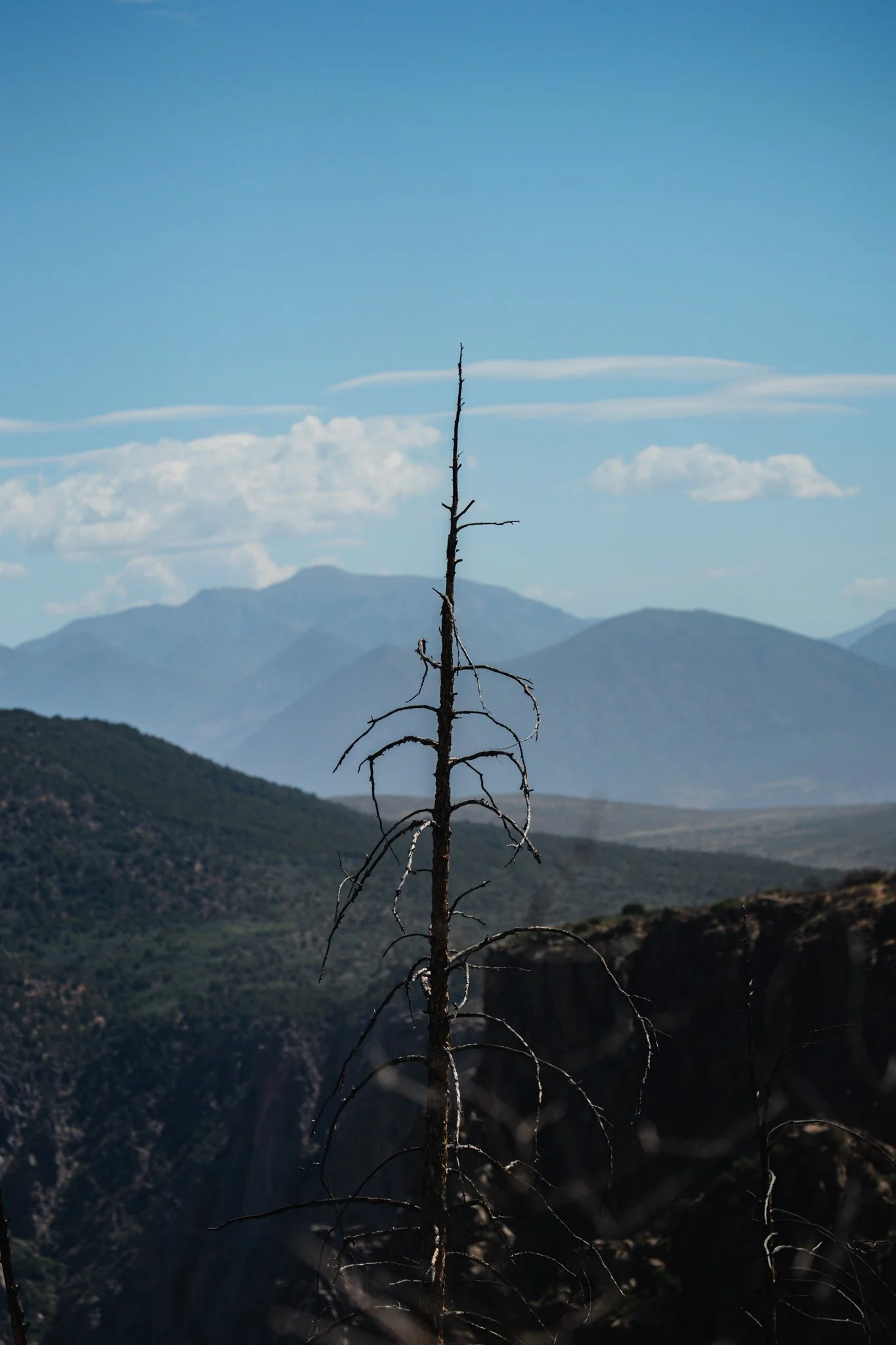 black-gunnison-resized-33.jpg