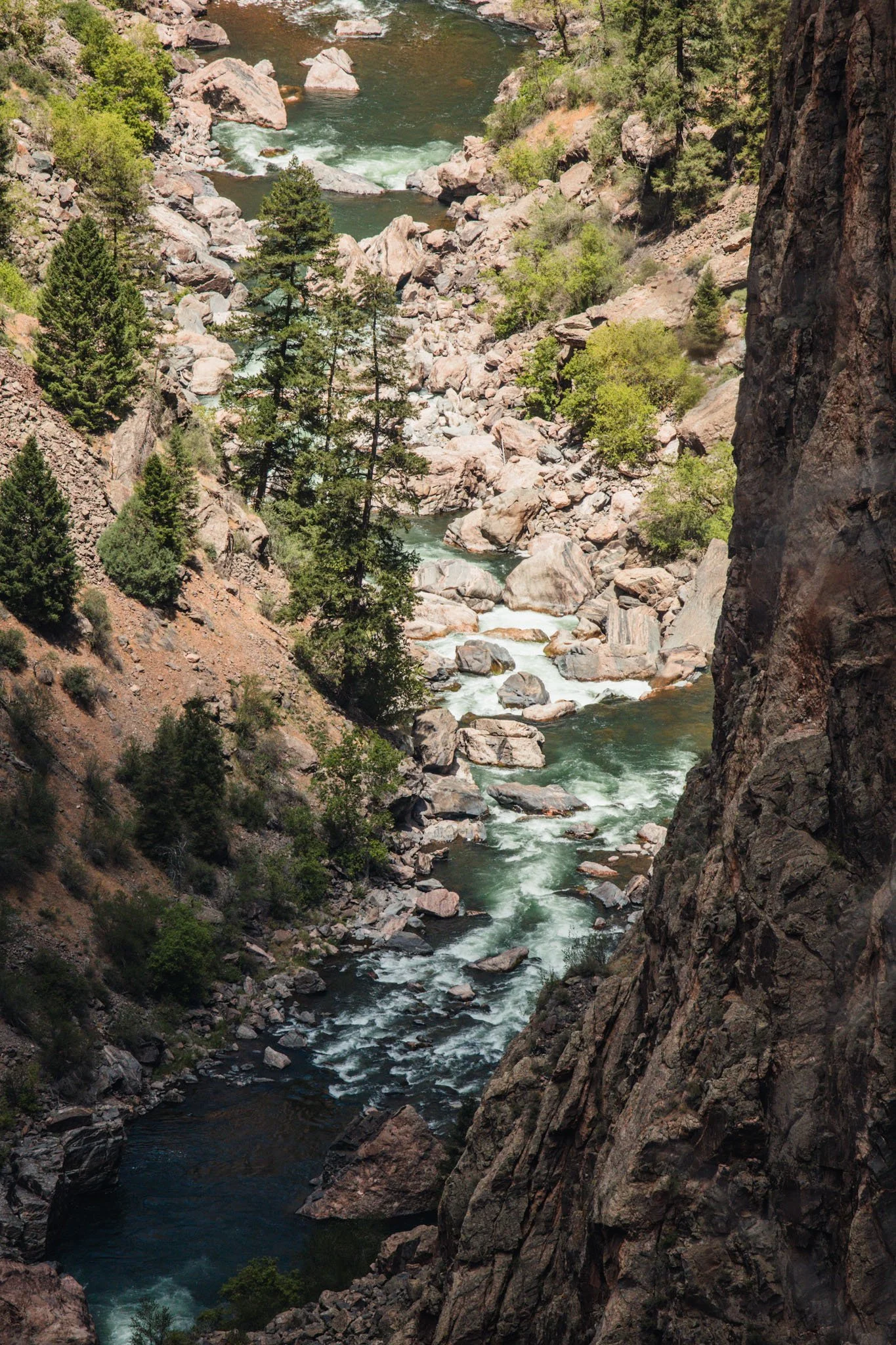 black-gunnison-resized-57.jpg