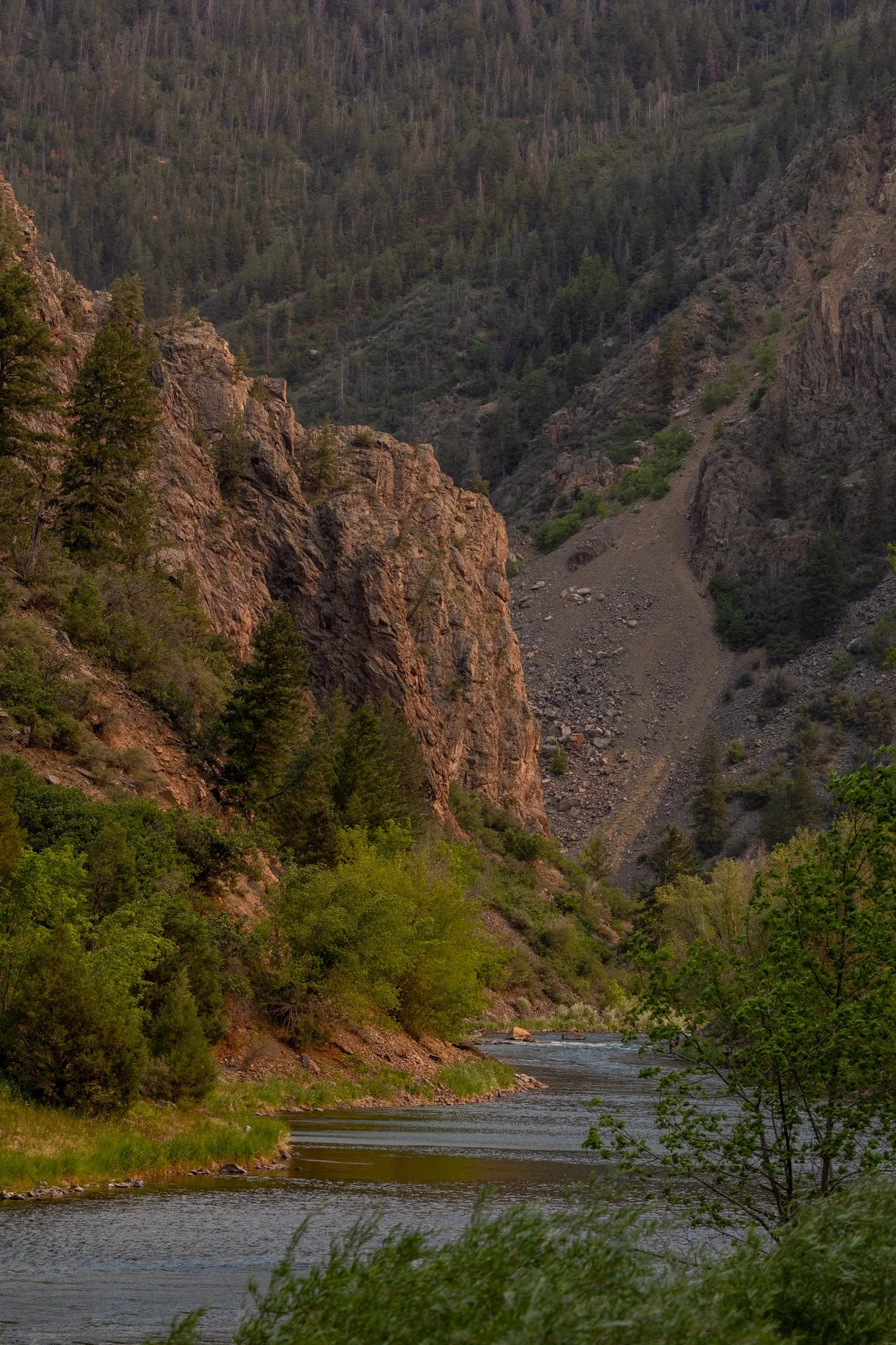 black-gunnison-resized-71.jpg