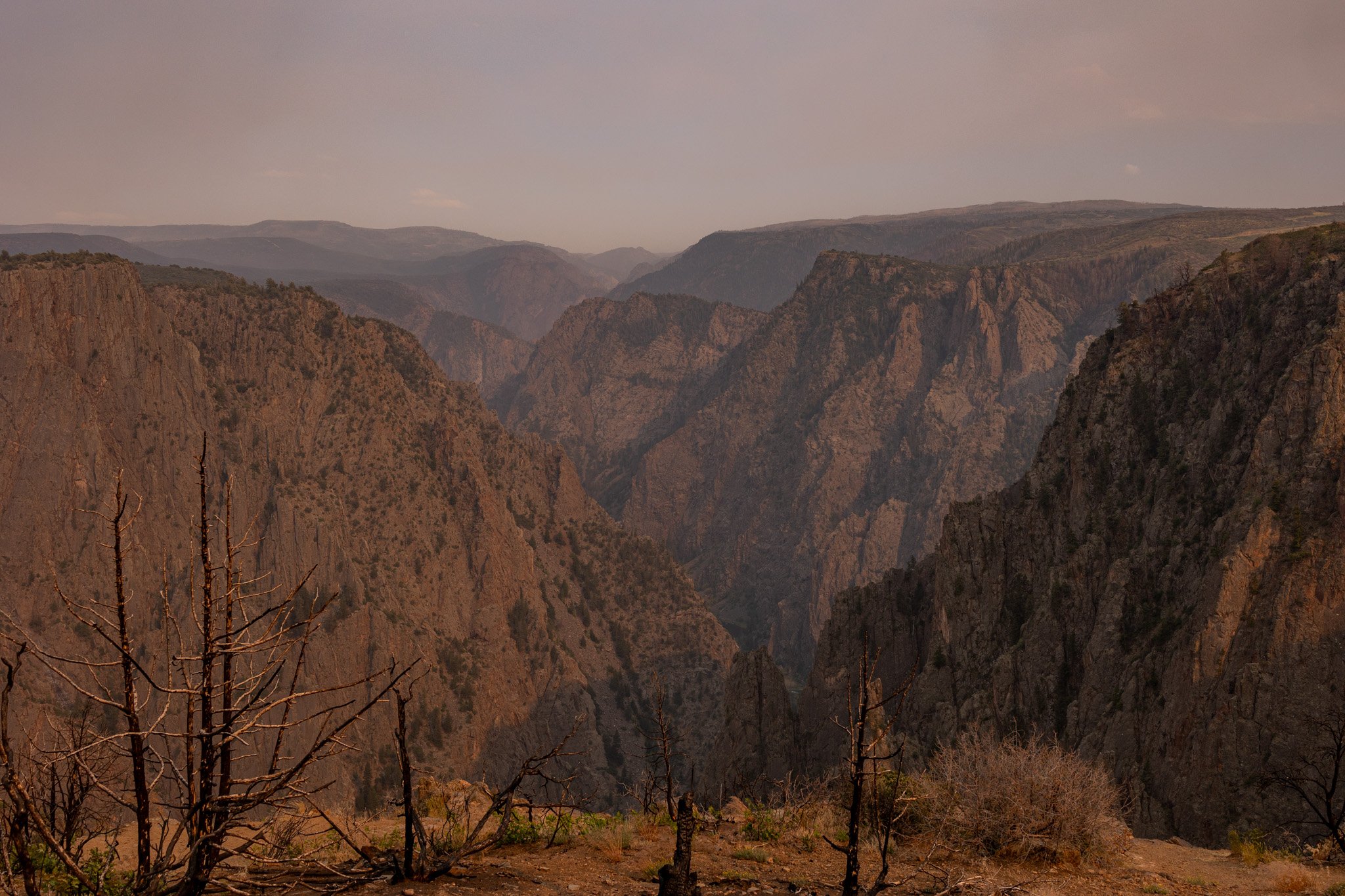 black-gunnison-resized-73.jpg