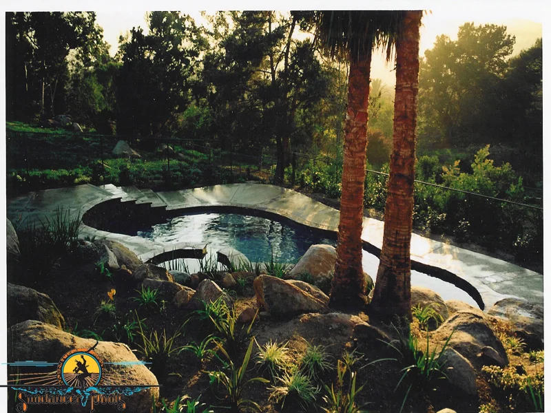 Esco palms copy.jpg