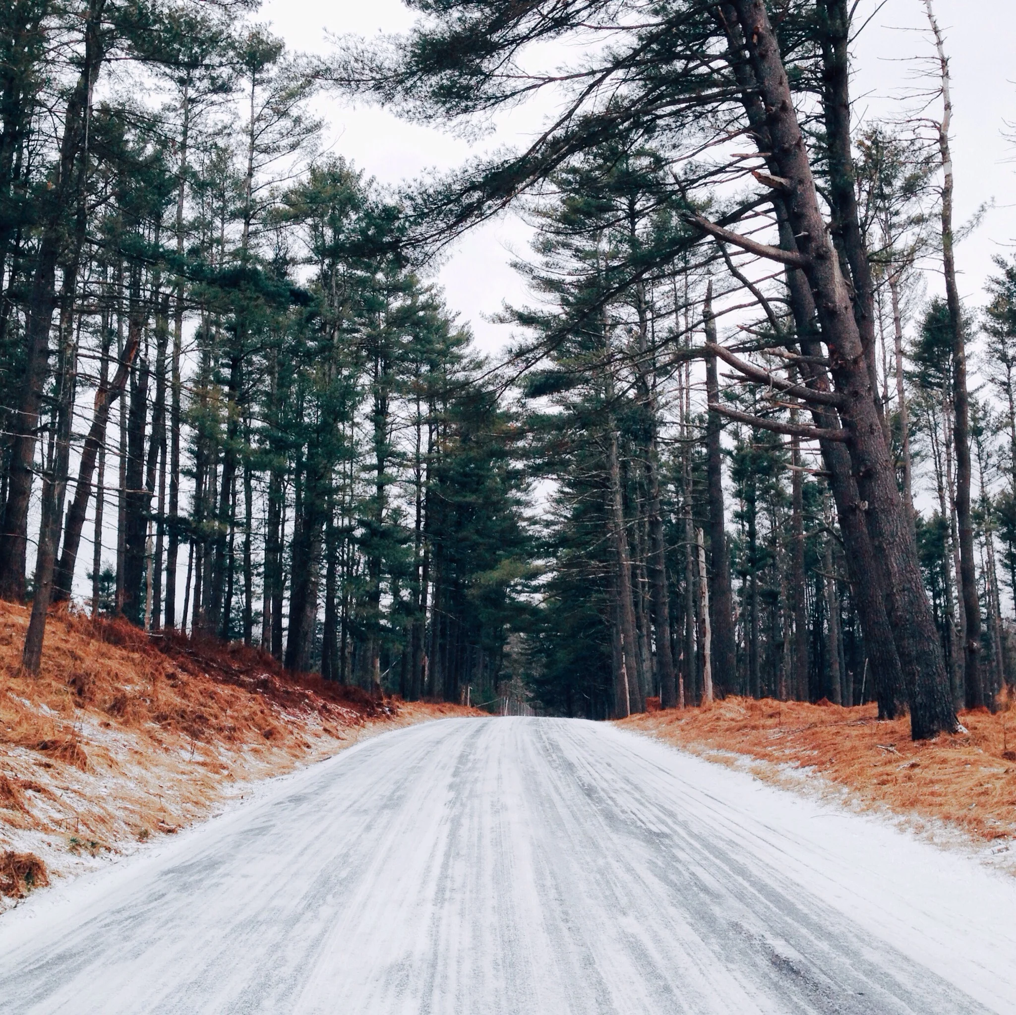 Authentic Lives | Dylan Neuhaus