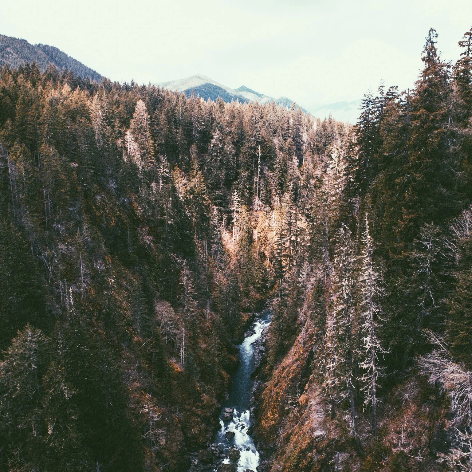 Authentic Lives | Samuel Elkins