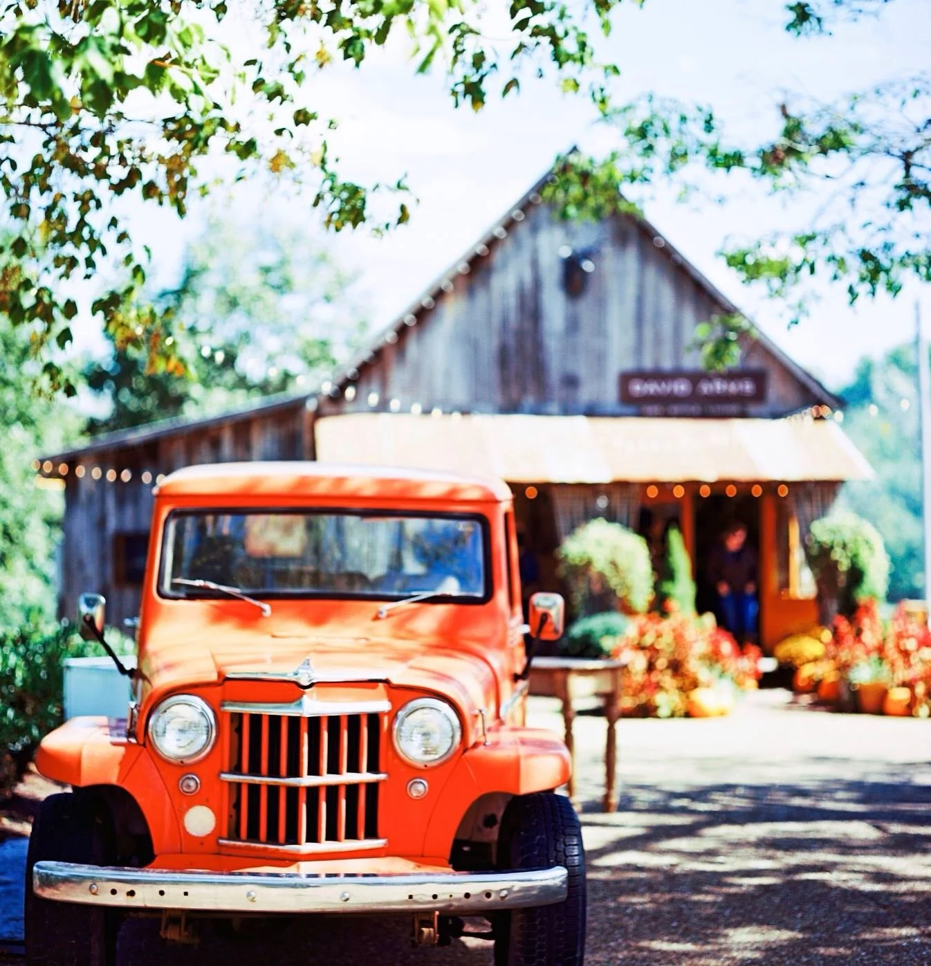 Authentic Lives | AJ Holmes