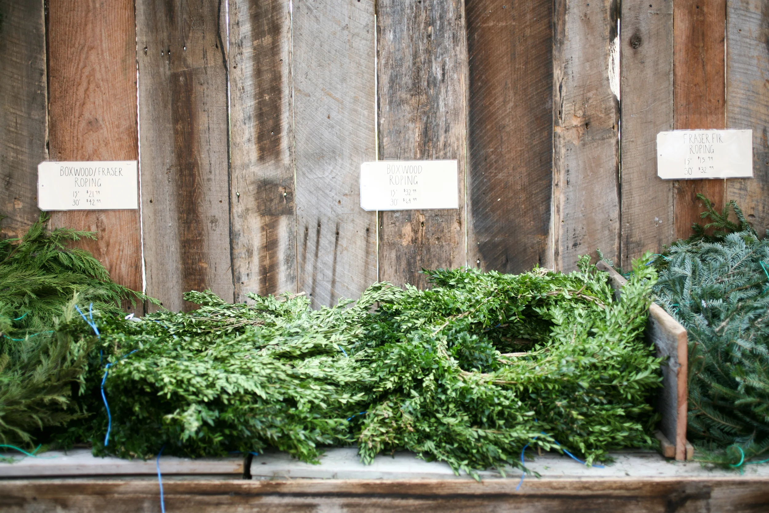 Hillenmeyer Christmas Shop